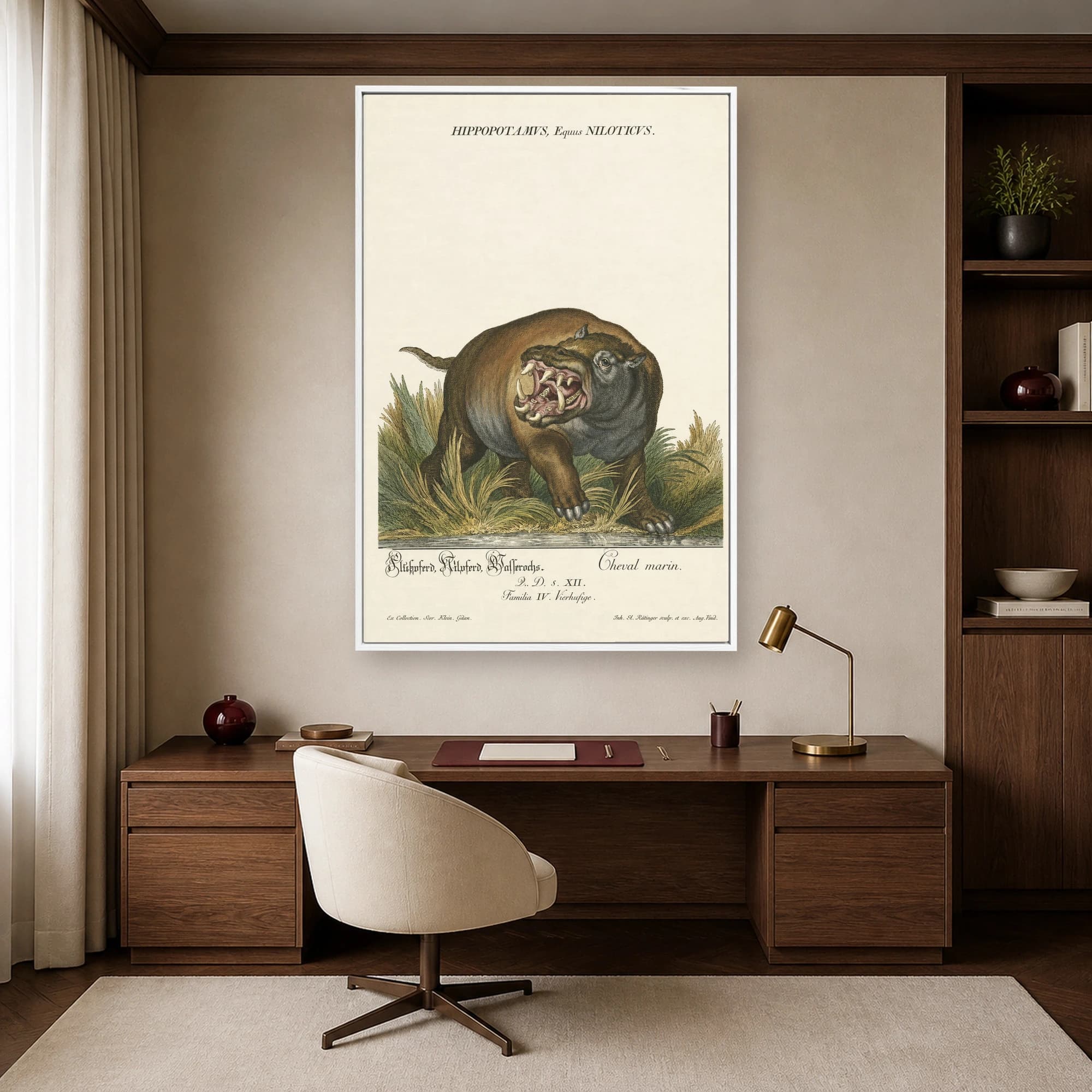 Hippopotamus Equus Niloticus Vintage Natural History Art Print, view 5