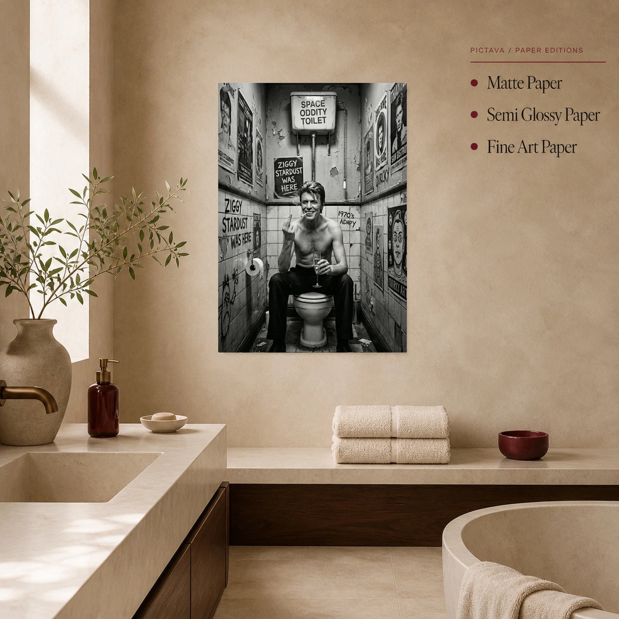Ziggy Stardust Bathroom Toilet Parody Canvas Art, view 3