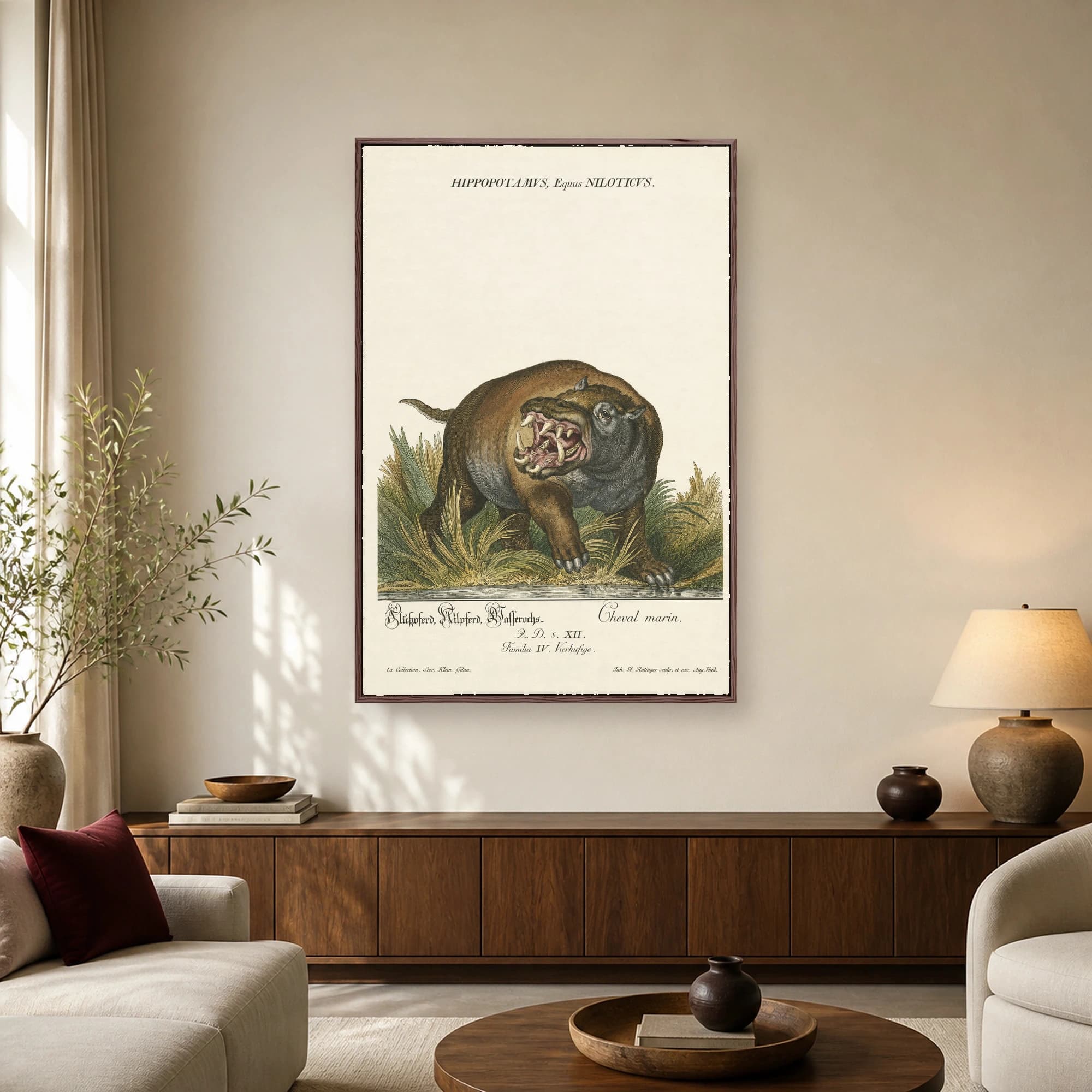 Antique scientific illustration of a hippopotamus with open jaws and tusks, labeled Hippopotamus Equus Niloticus against a cream parchment background.