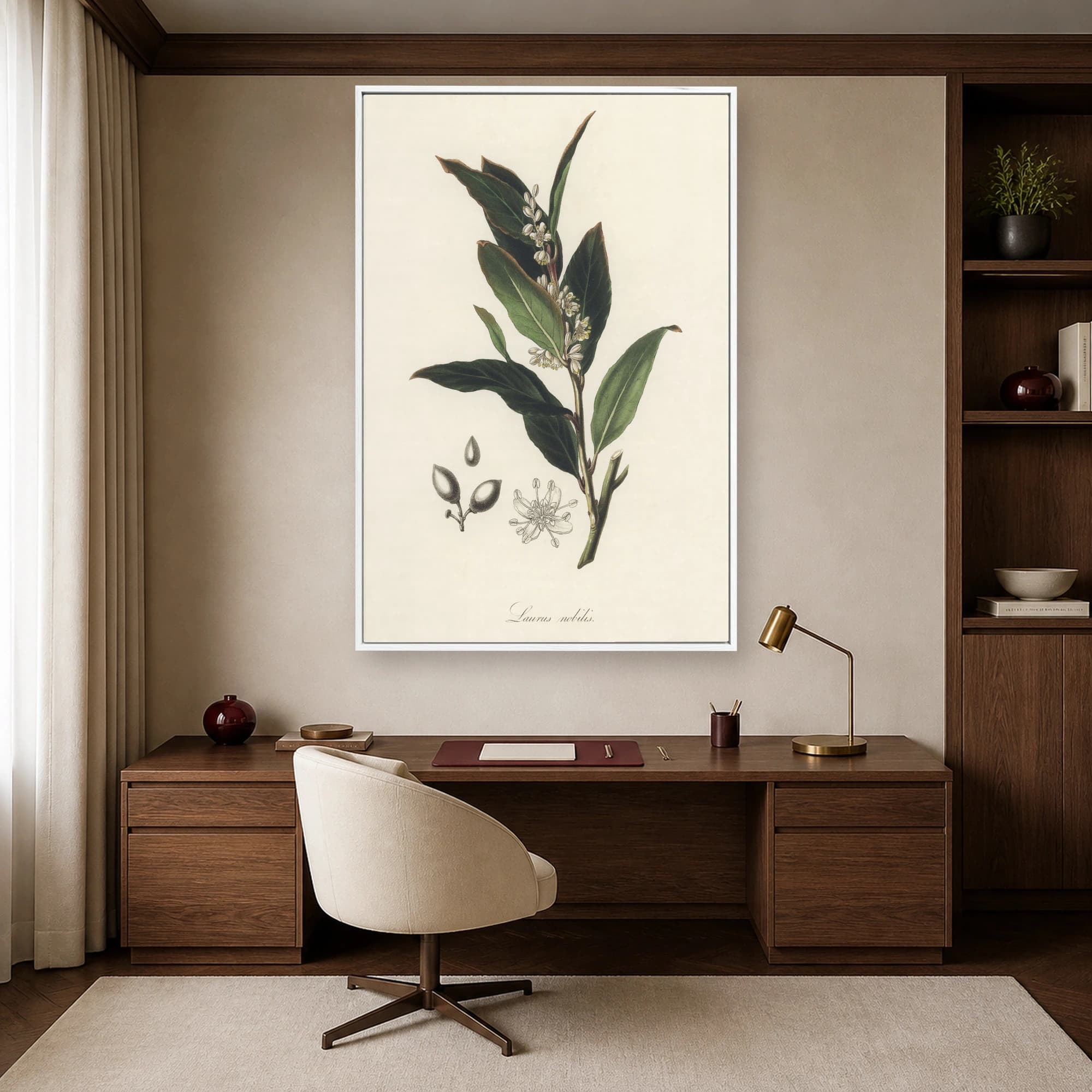 Laurus nobilis Vintage Botanical Illustration Print, view 5
