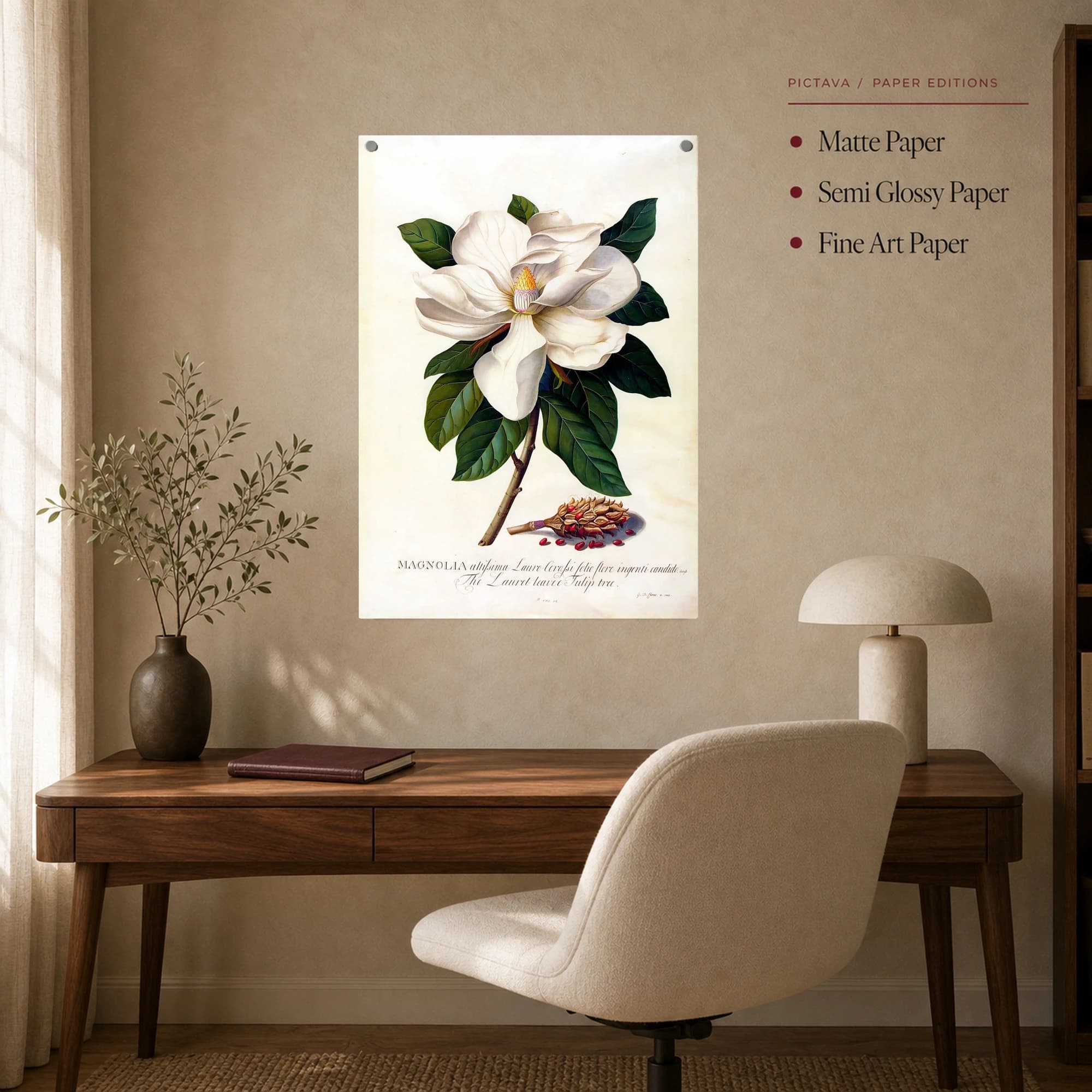 Vintage Botanical Magnolia Flower Print, view 8