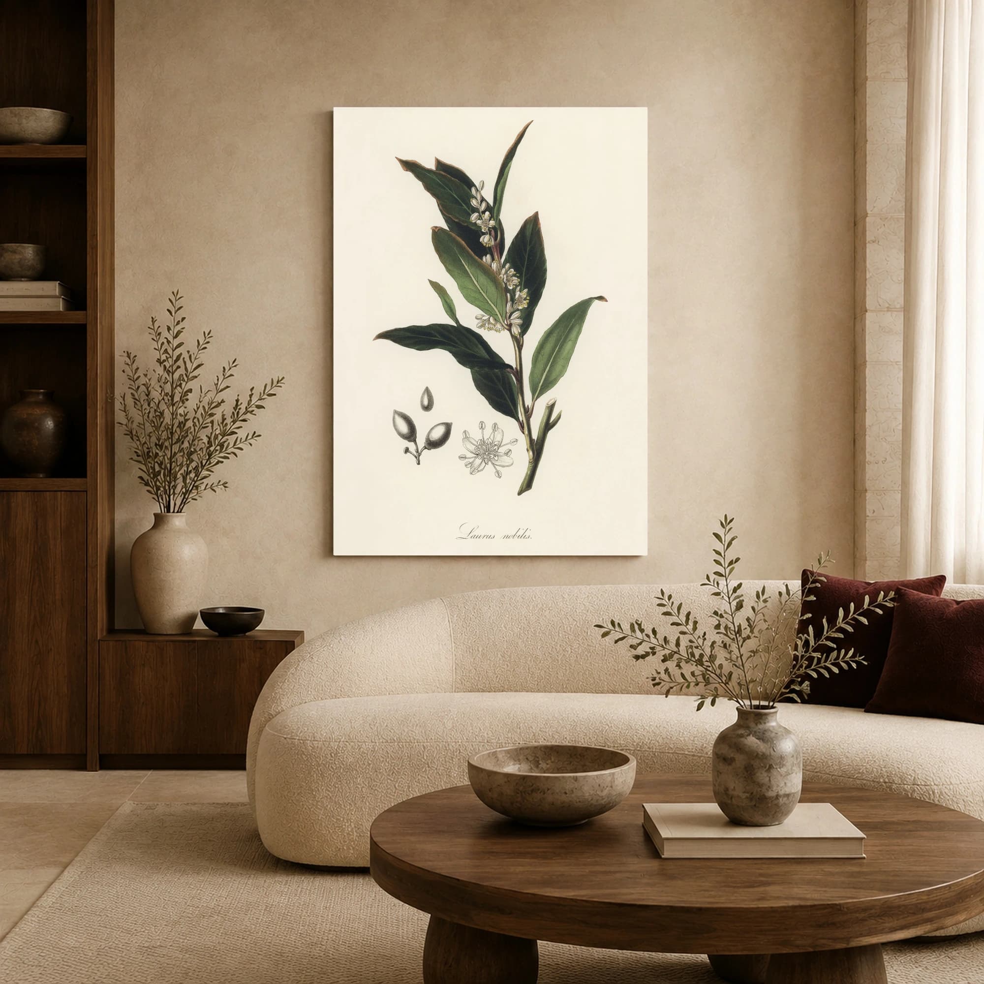 Laurus nobilis Vintage Botanical Illustration Print, view 6