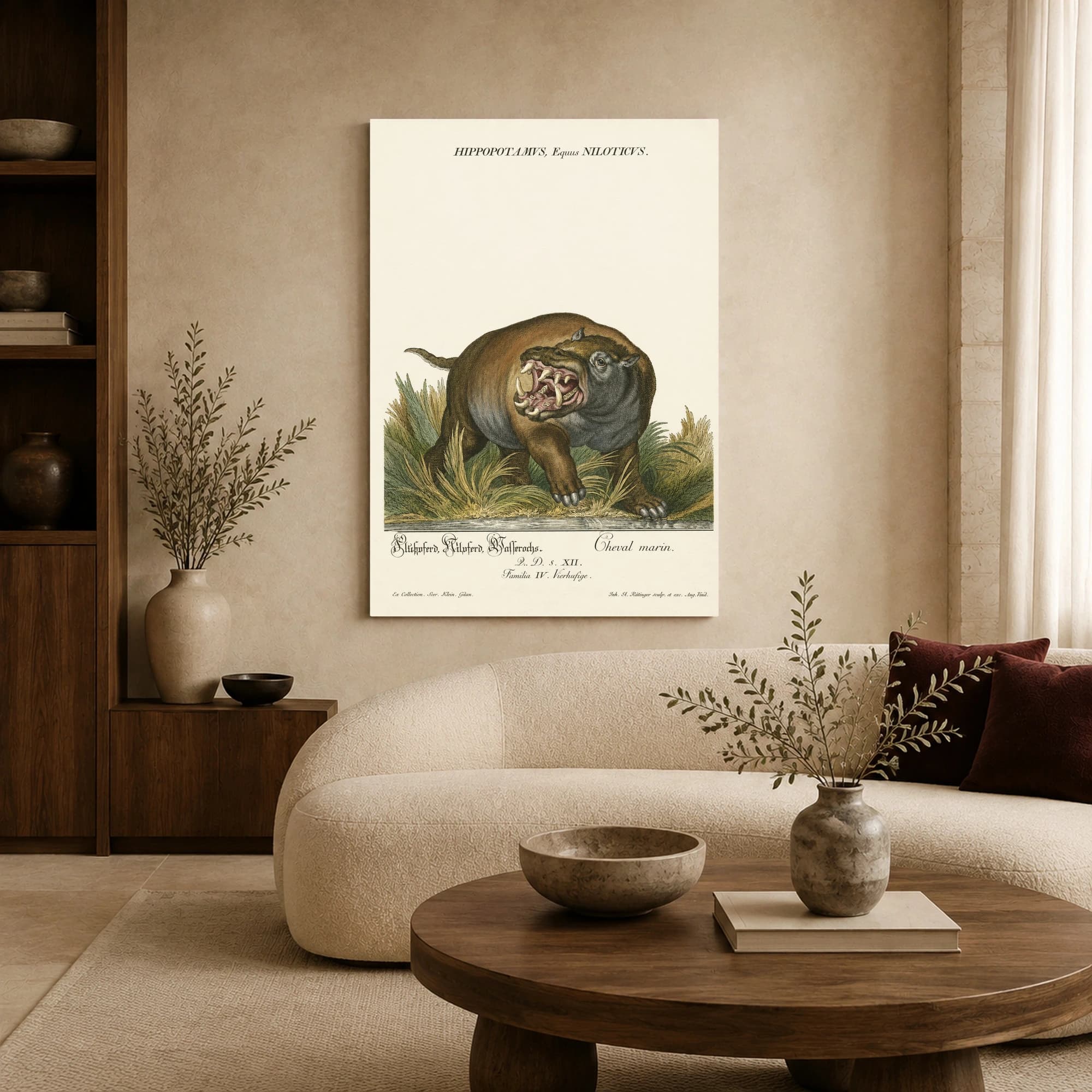 Hippopotamus Equus Niloticus Vintage Natural History Art Print, view 6