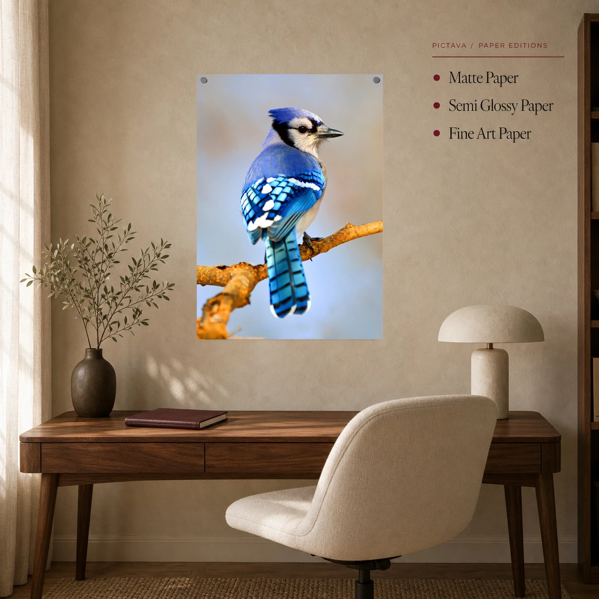 Vibrant Blue Jay Bird Wildlife Photography Wall Art, view 7