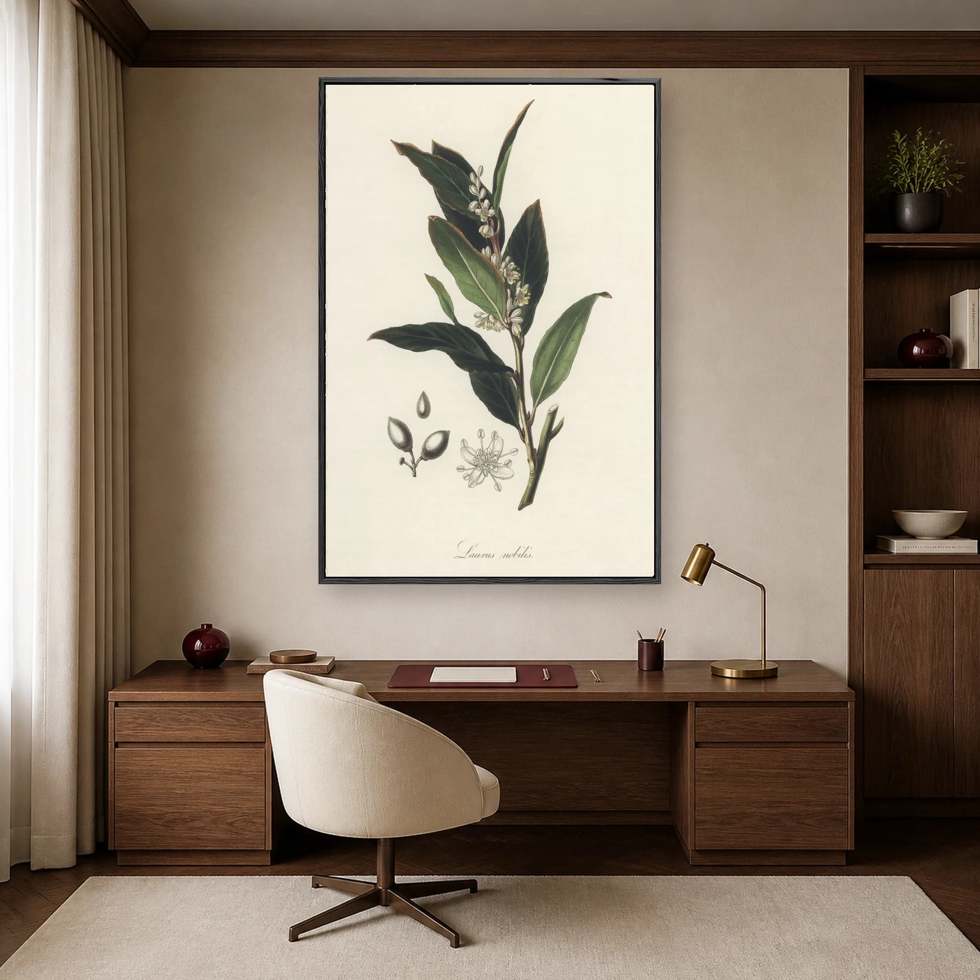 Laurus nobilis Vintage Botanical Illustration Print, view 2