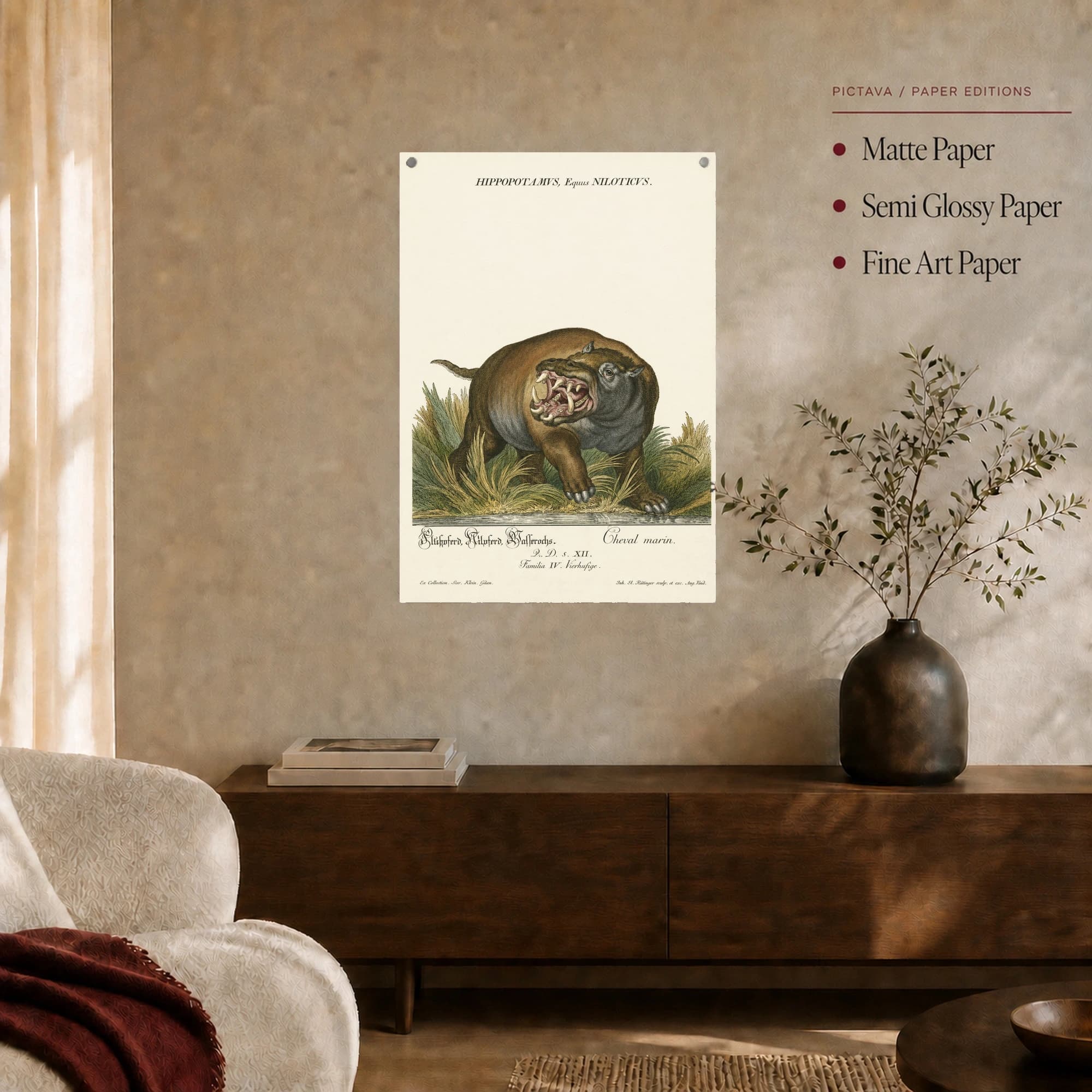 Hippopotamus Equus Niloticus Vintage Natural History Art Print, view 7