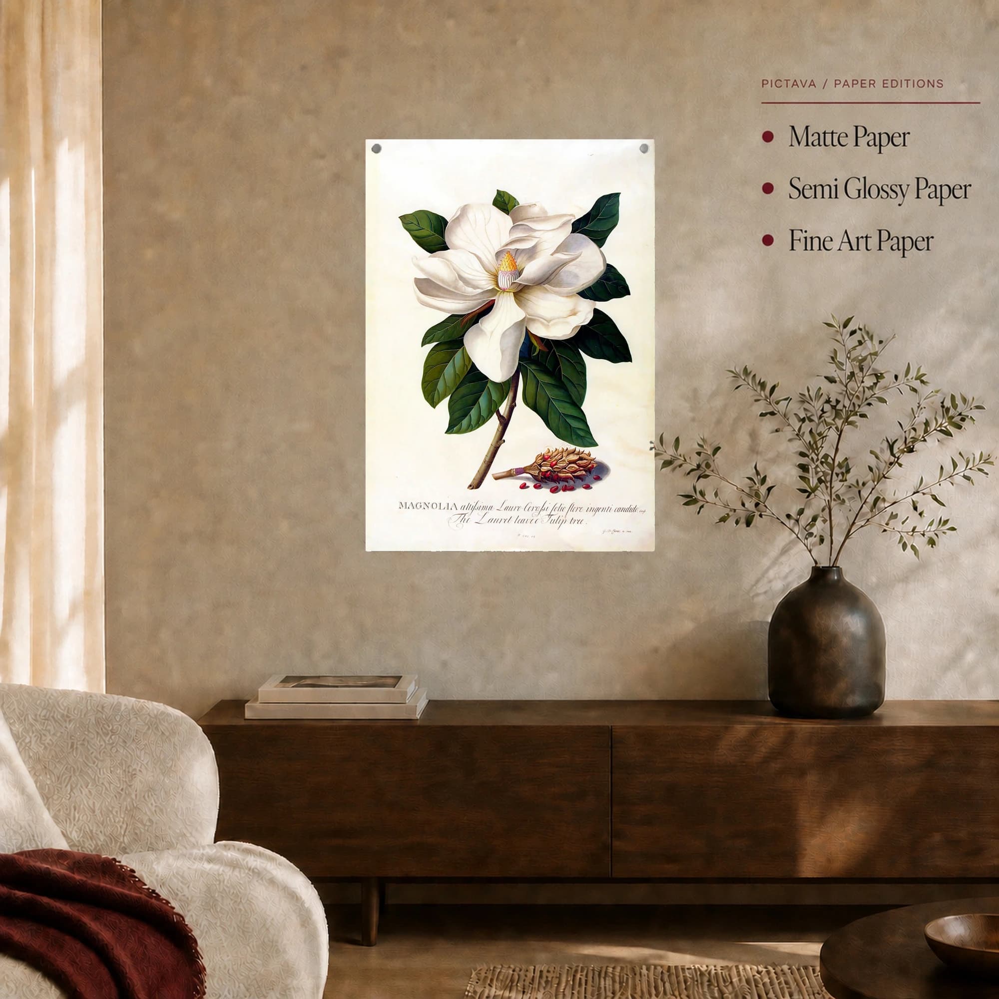 Vintage Botanical Magnolia Flower Print, view 6