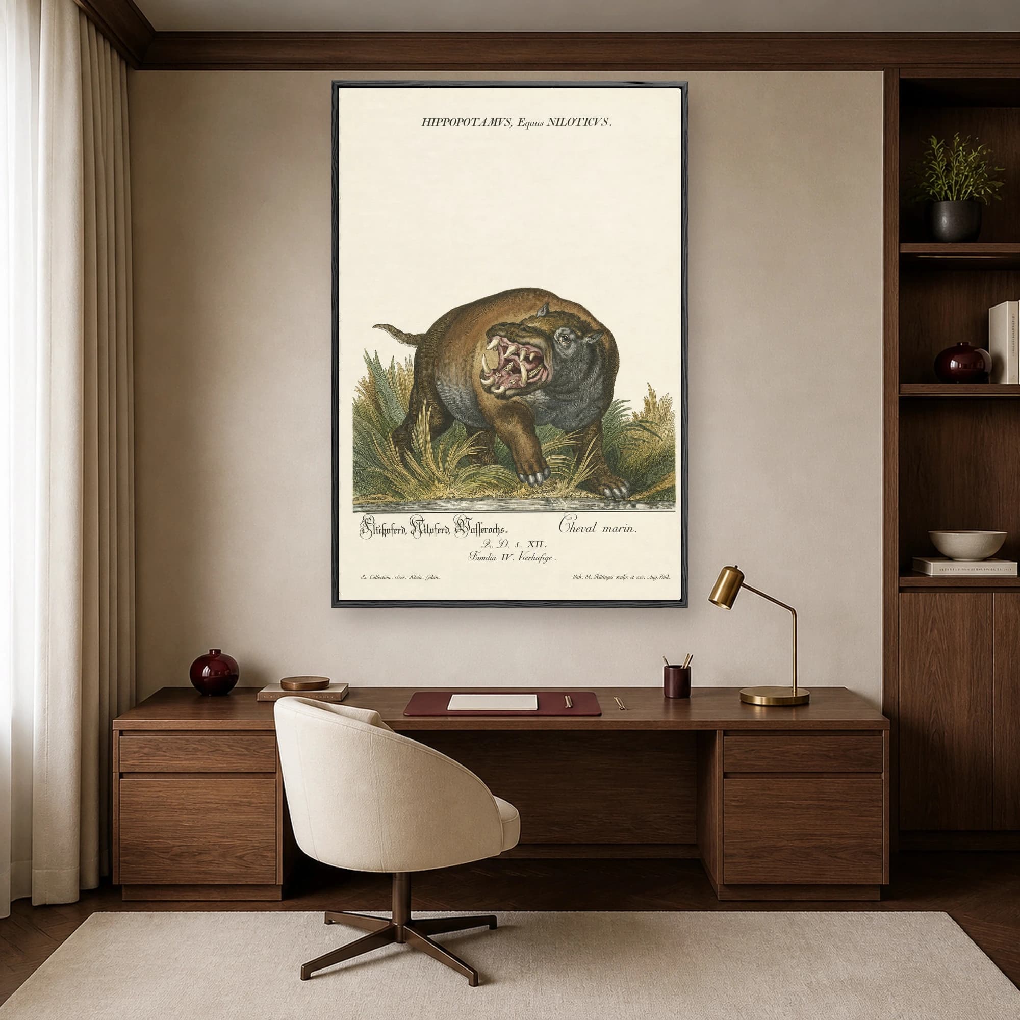 Hippopotamus Equus Niloticus Vintage Natural History Art Print, view 2