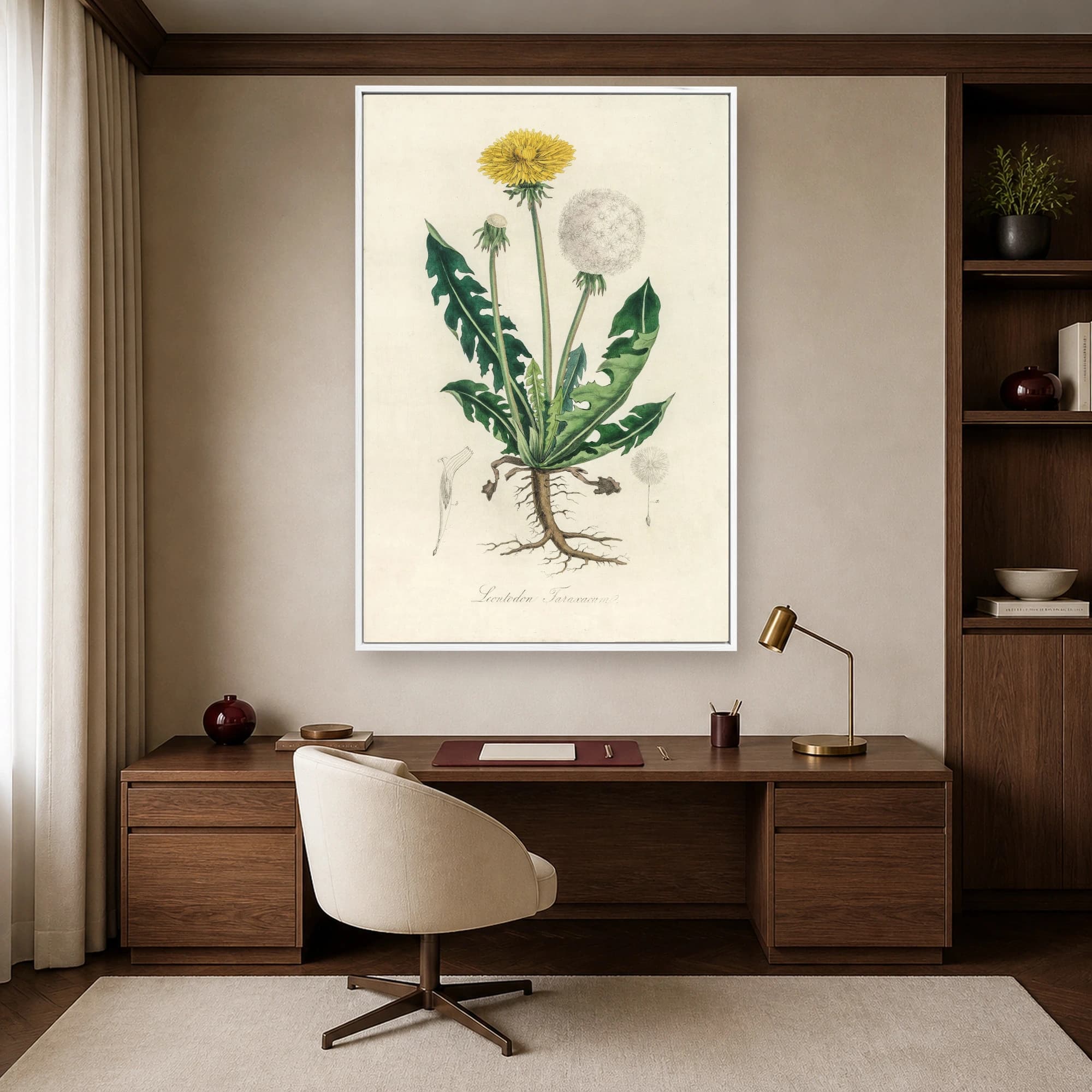 Vintage Dandelion Botanical Illustration Print, view 3