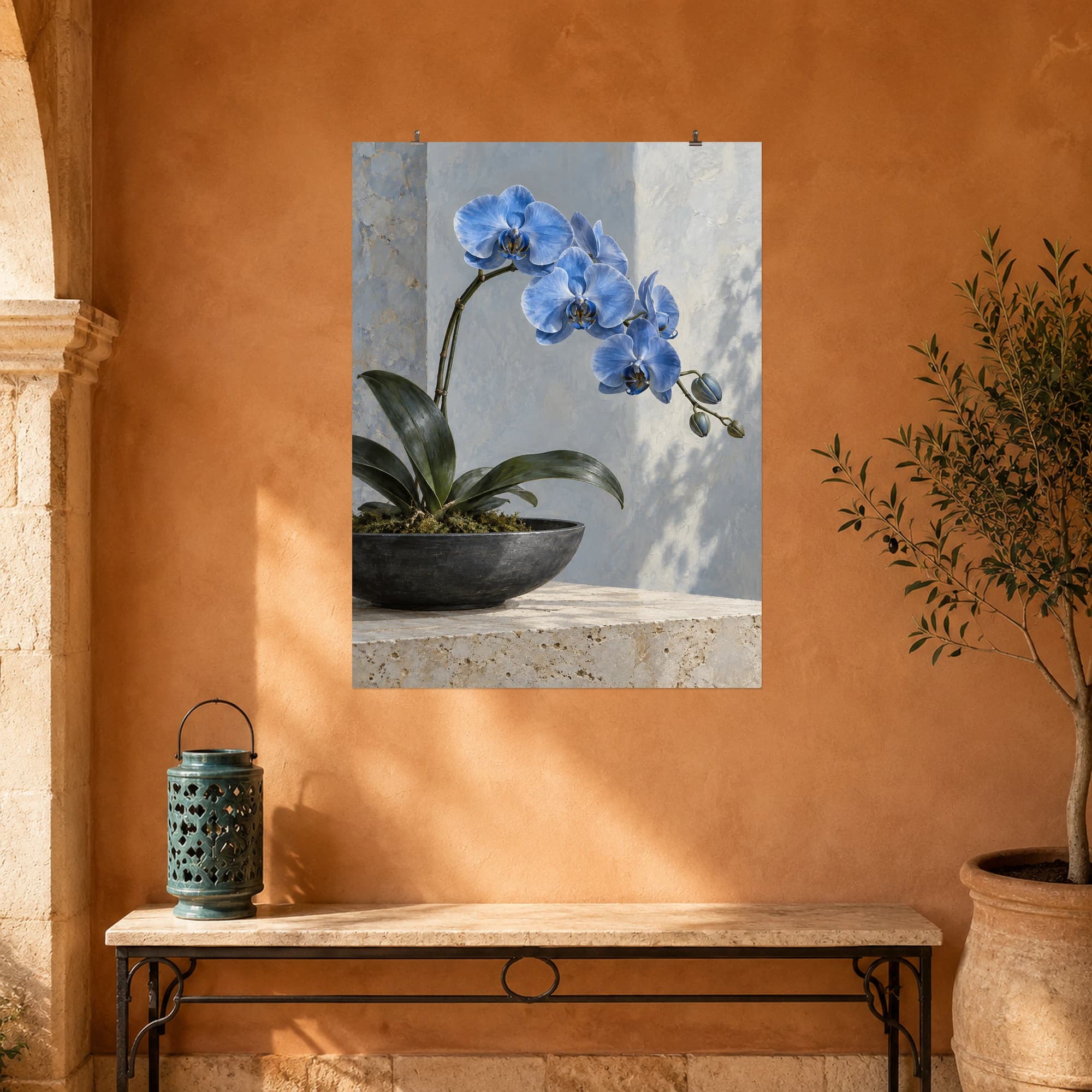 Blue orchid blossoms arc above a dark ceramic bowl against a pale wall. The restrained setting lets the flower shapes and cool colors stand out.