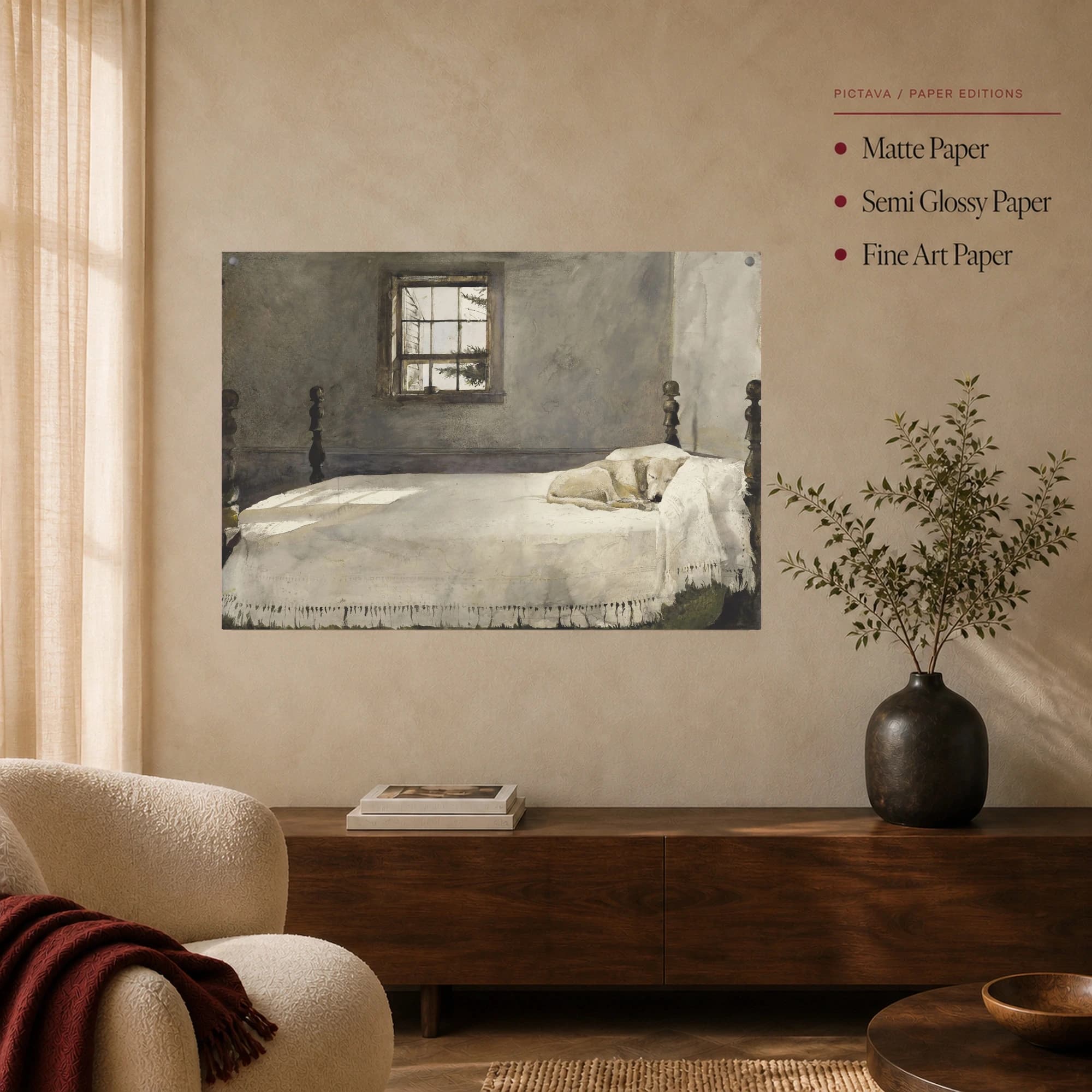 A Good Dog Sleeping in Morning Light Fine Art Print, view 5