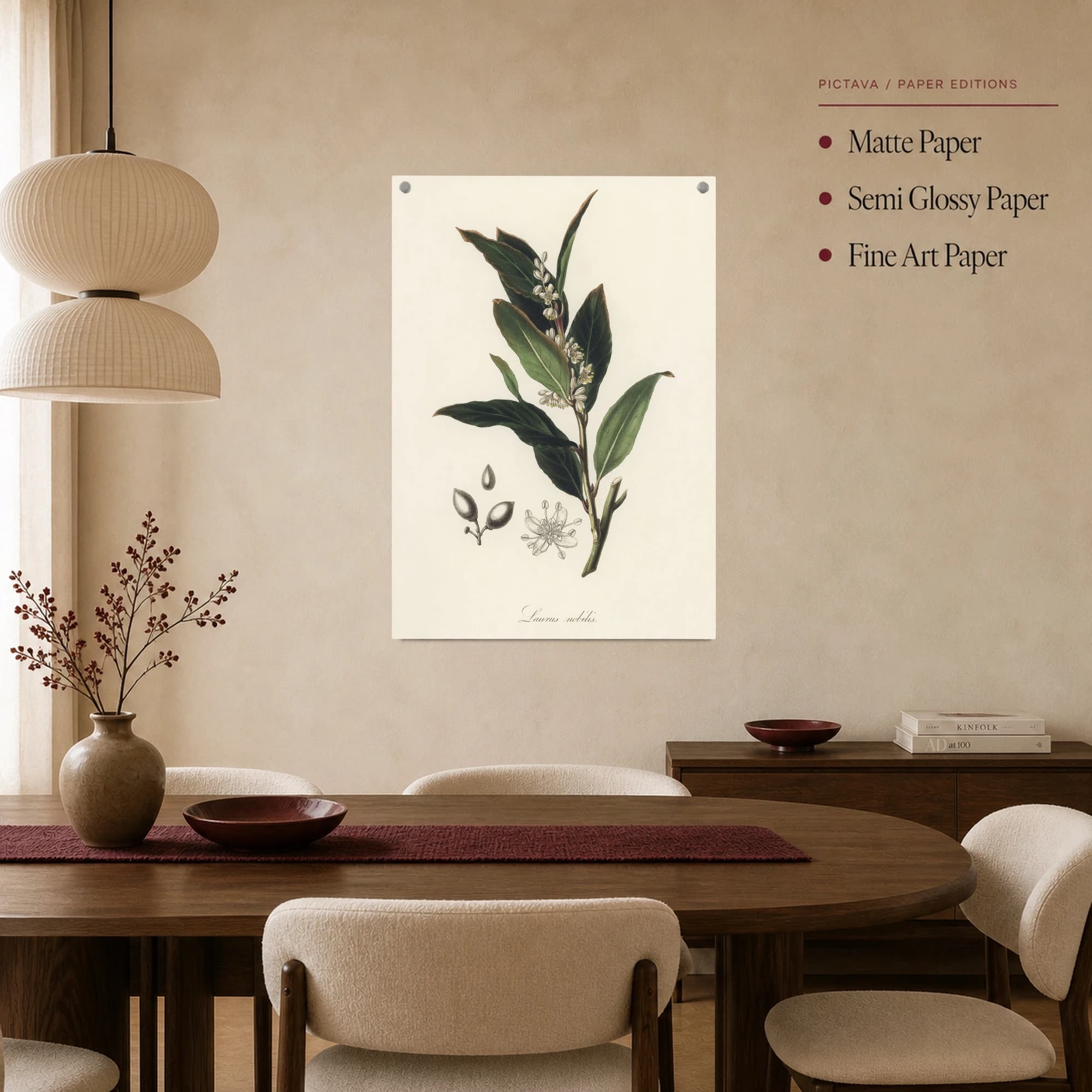 Laurus nobilis Vintage Botanical Illustration Print, view 4