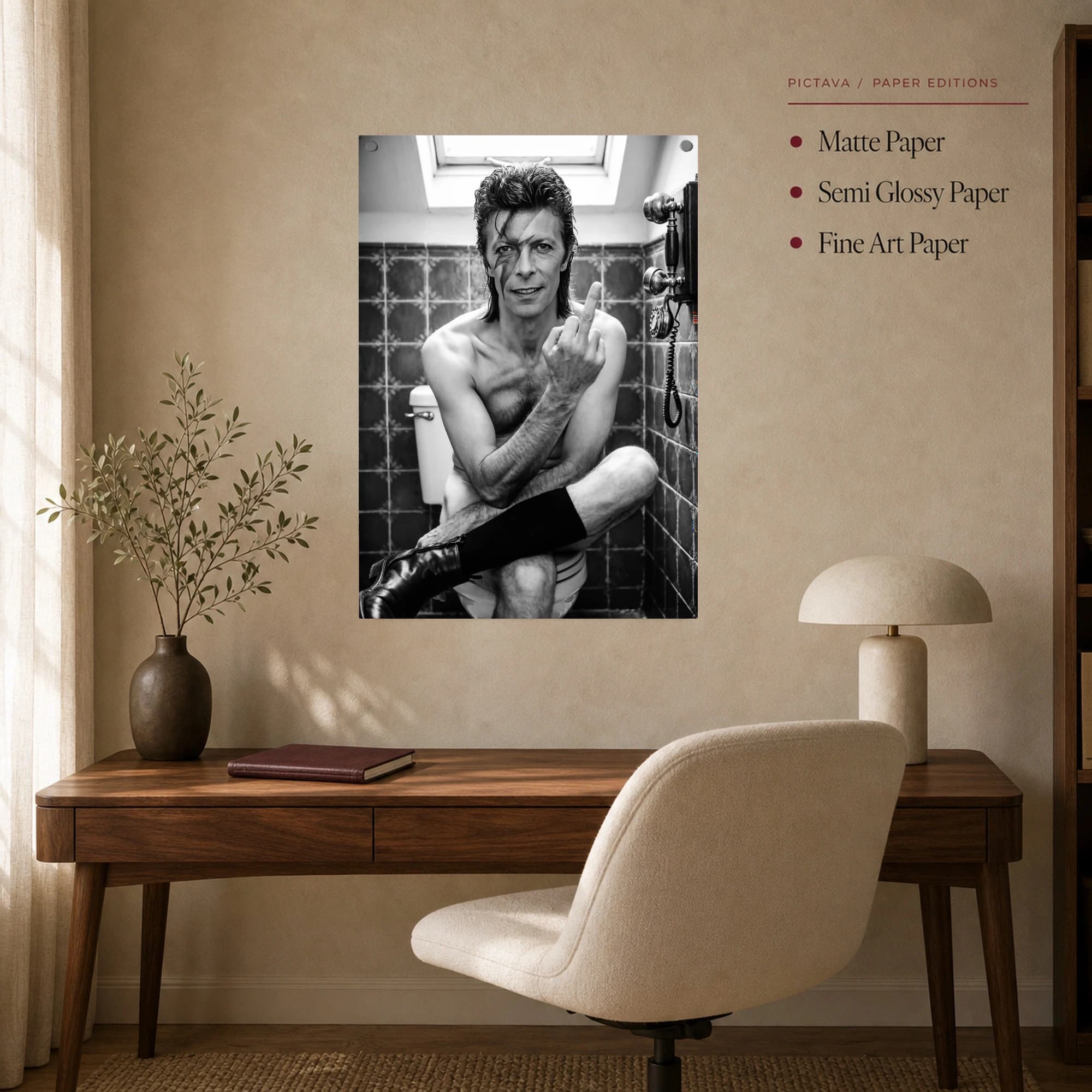 David Bowie Restroom Middle Finger Black and White Canvas Art, view 8