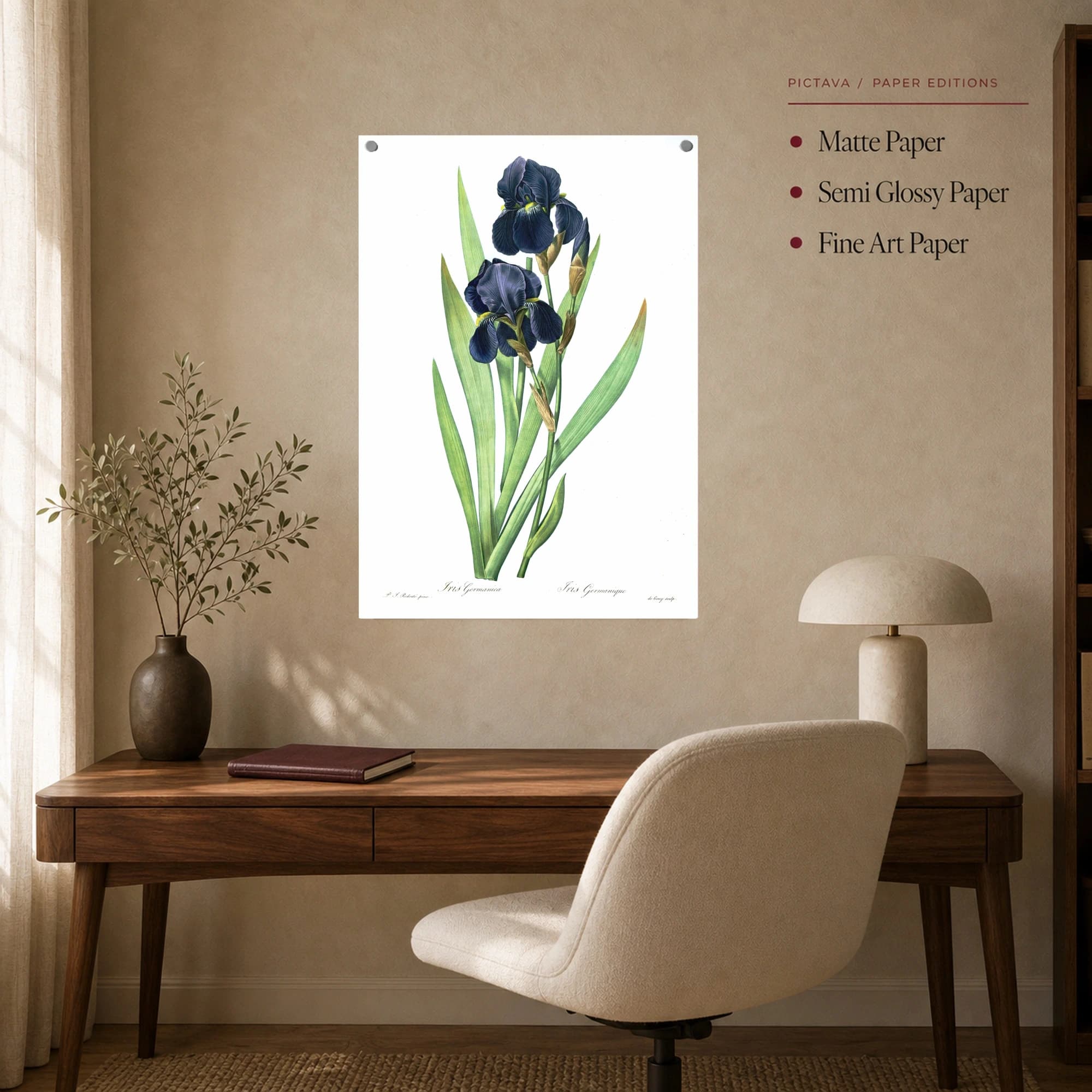 Vintage Iris Germanica Botanical Print Wall Art, view 8