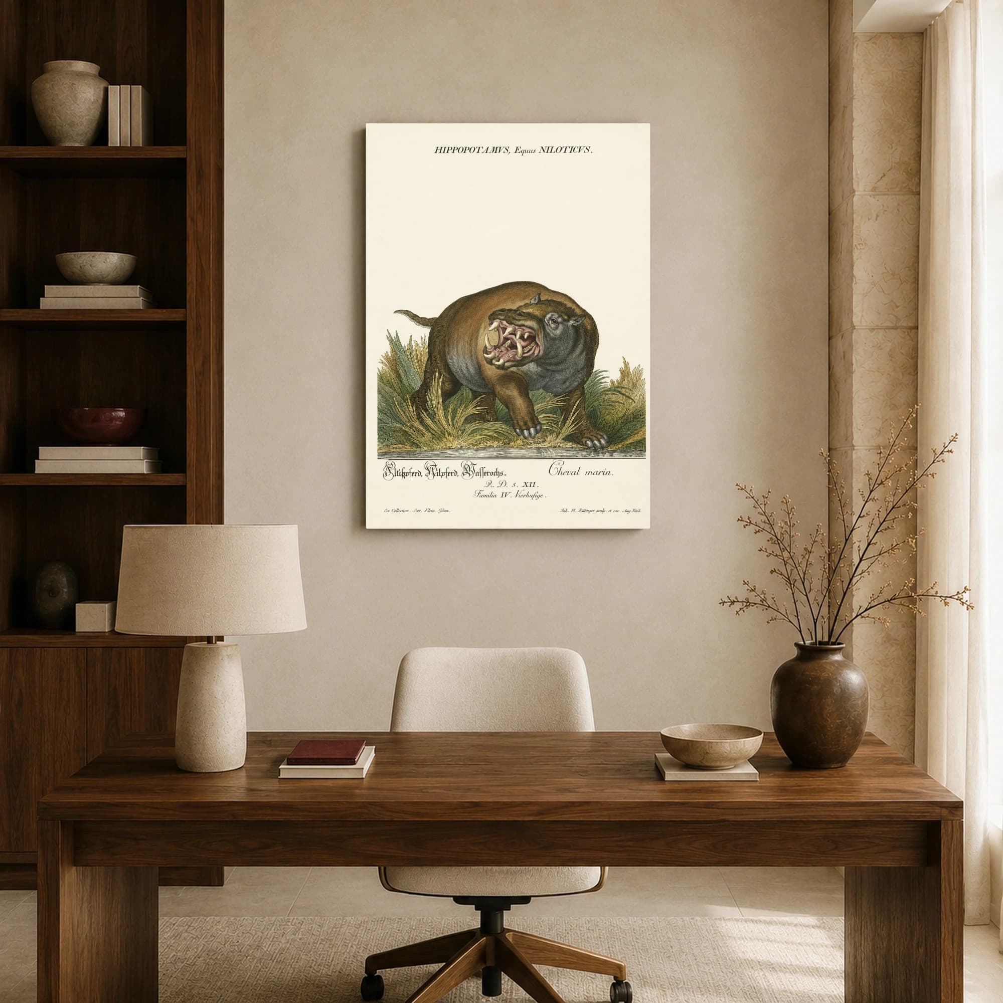 Hippopotamus Equus Niloticus Vintage Natural History Art Print, view 8