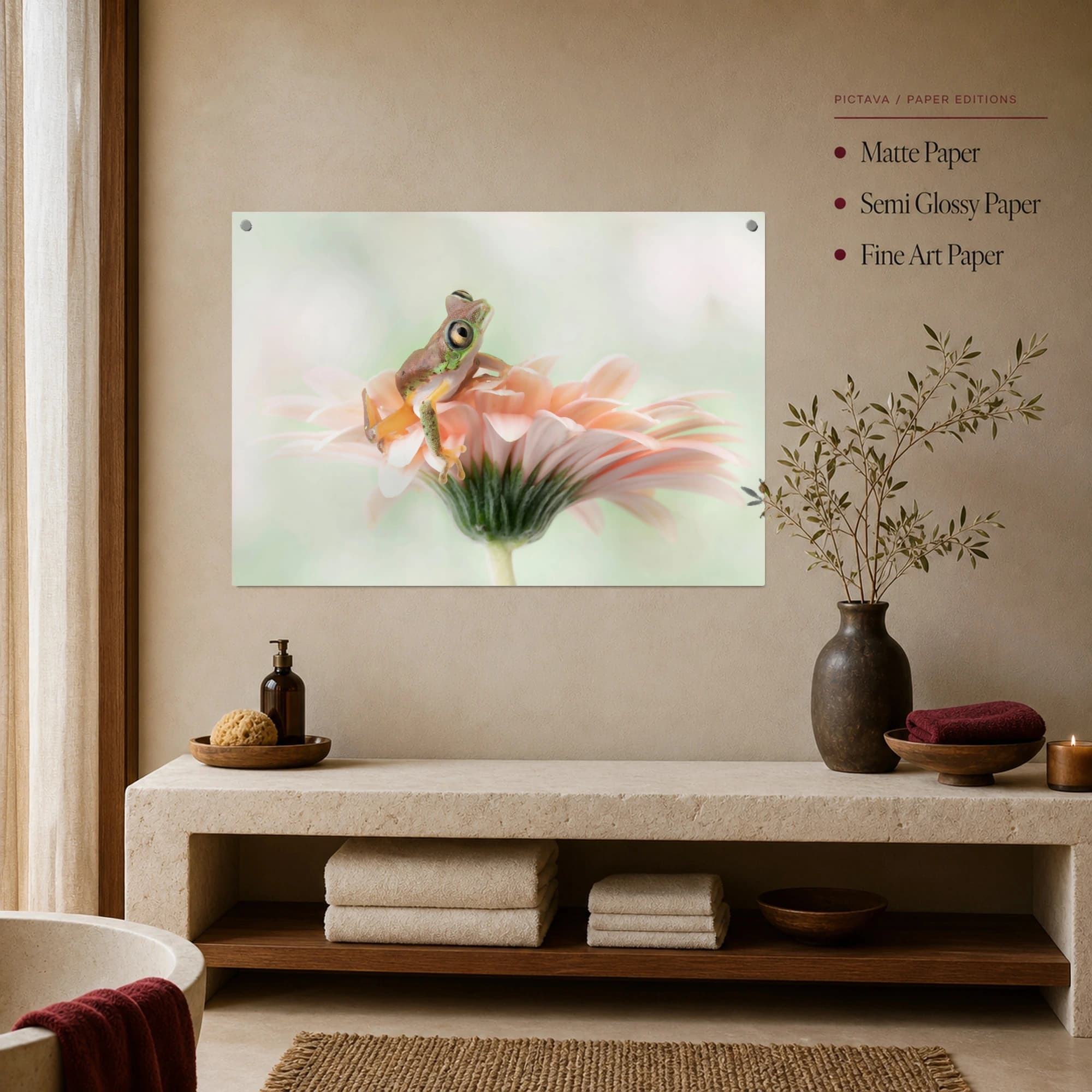 Serene Tree Frog on Pink Gerbera Daisy Fine Art Nature Print, view 3
