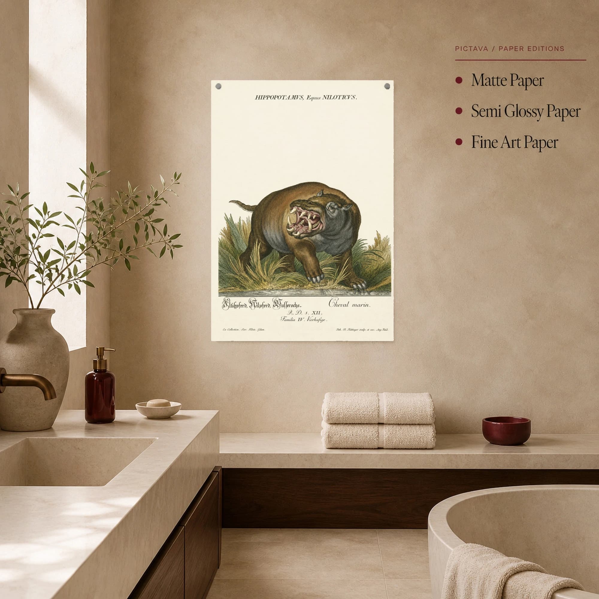 Hippopotamus Equus Niloticus Vintage Natural History Art Print, view 4