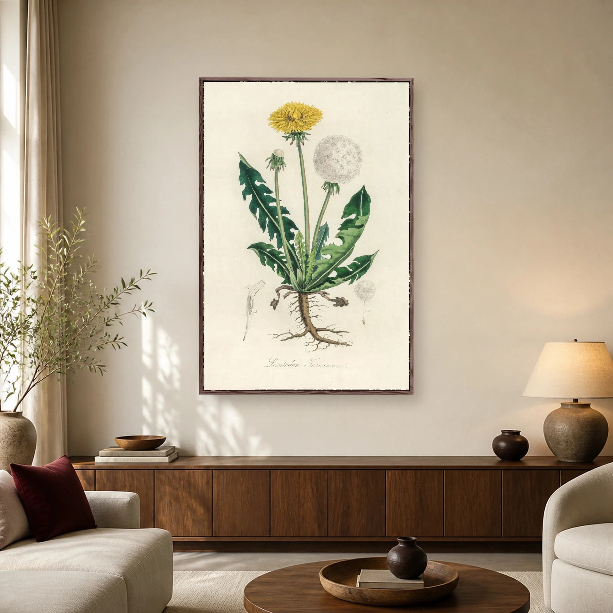 Vintage Dandelion Botanical Illustration Print, view 2