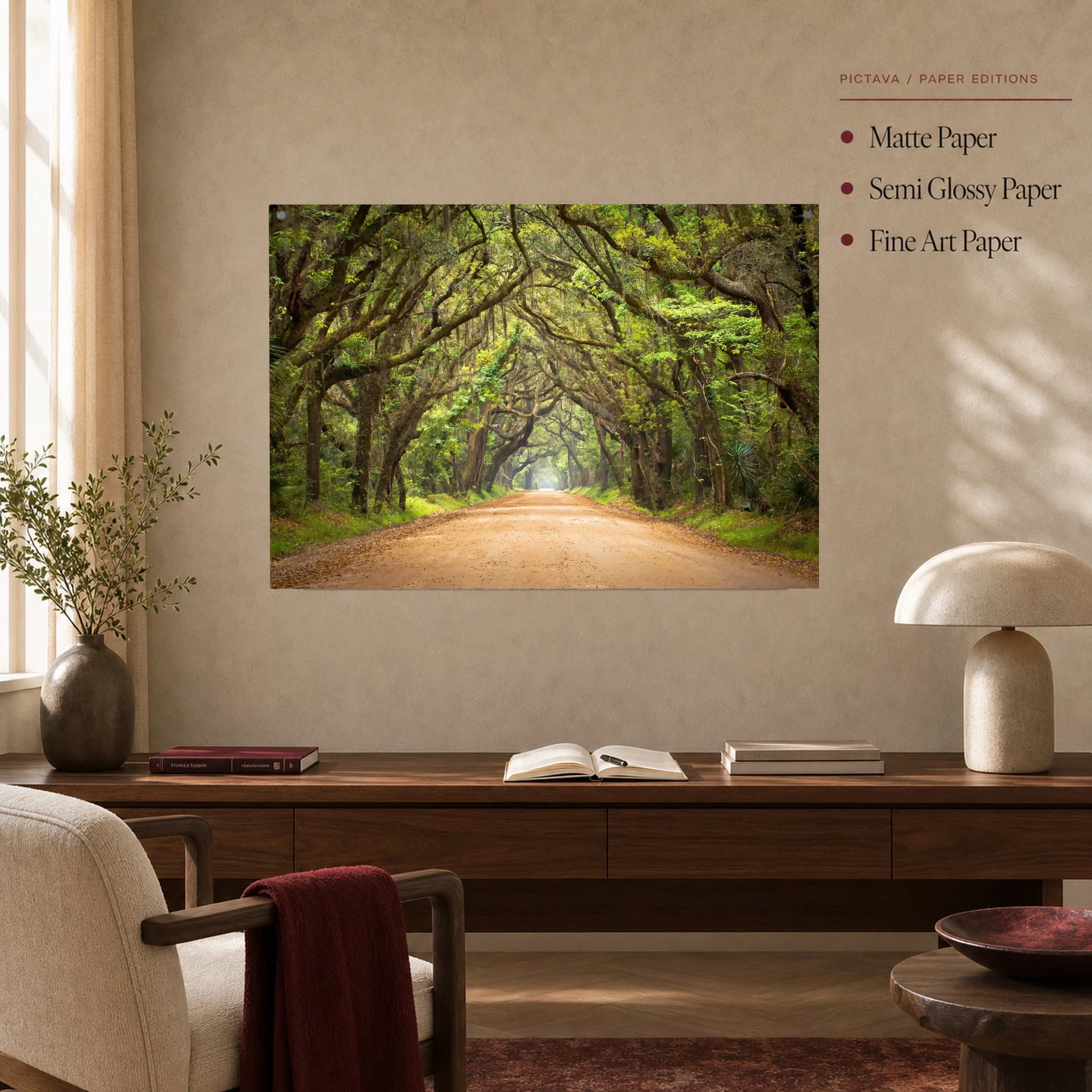 Southern Canopy Road Canvas Print & Nature Wall Art, view 4