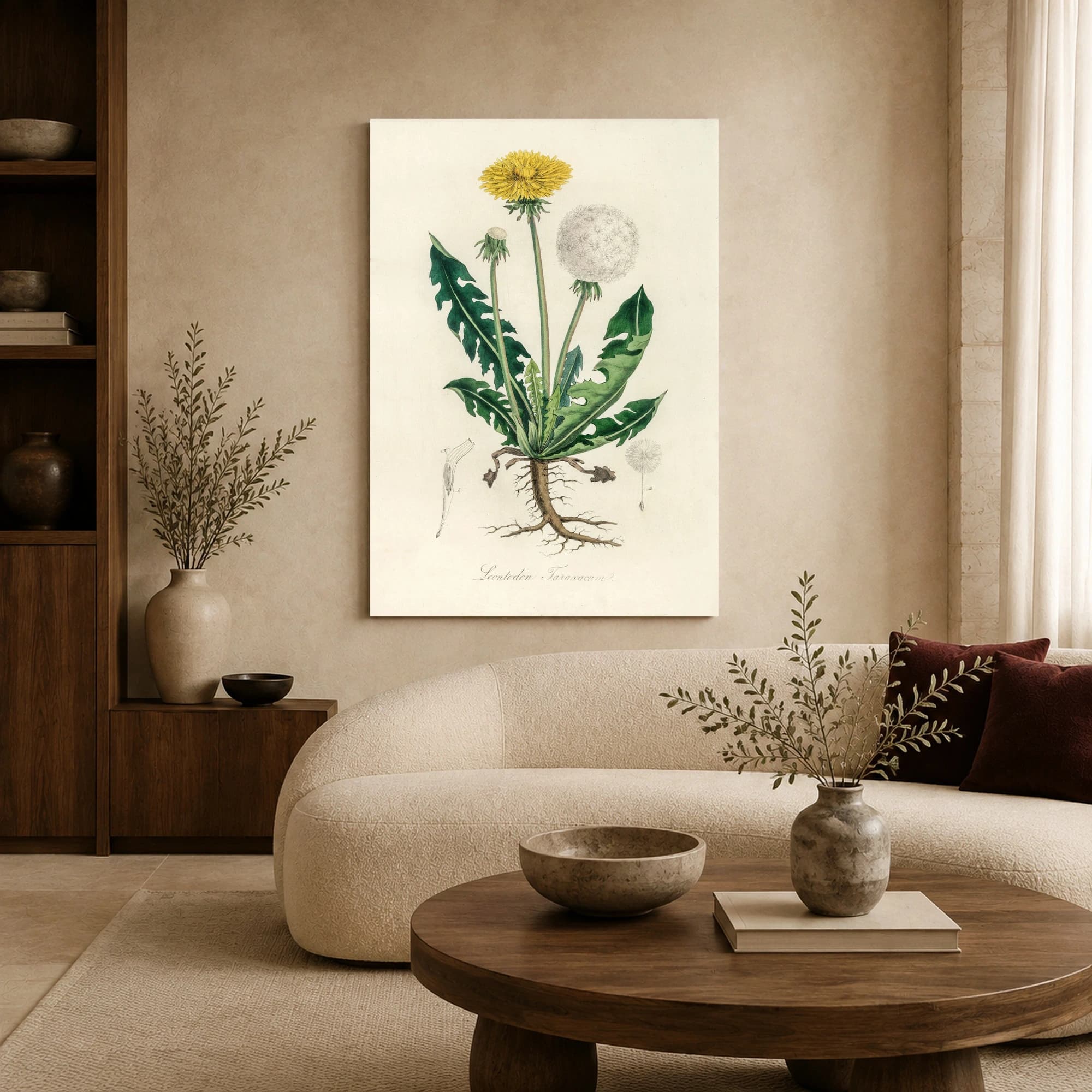 Vintage Dandelion Botanical Illustration Print, view 5