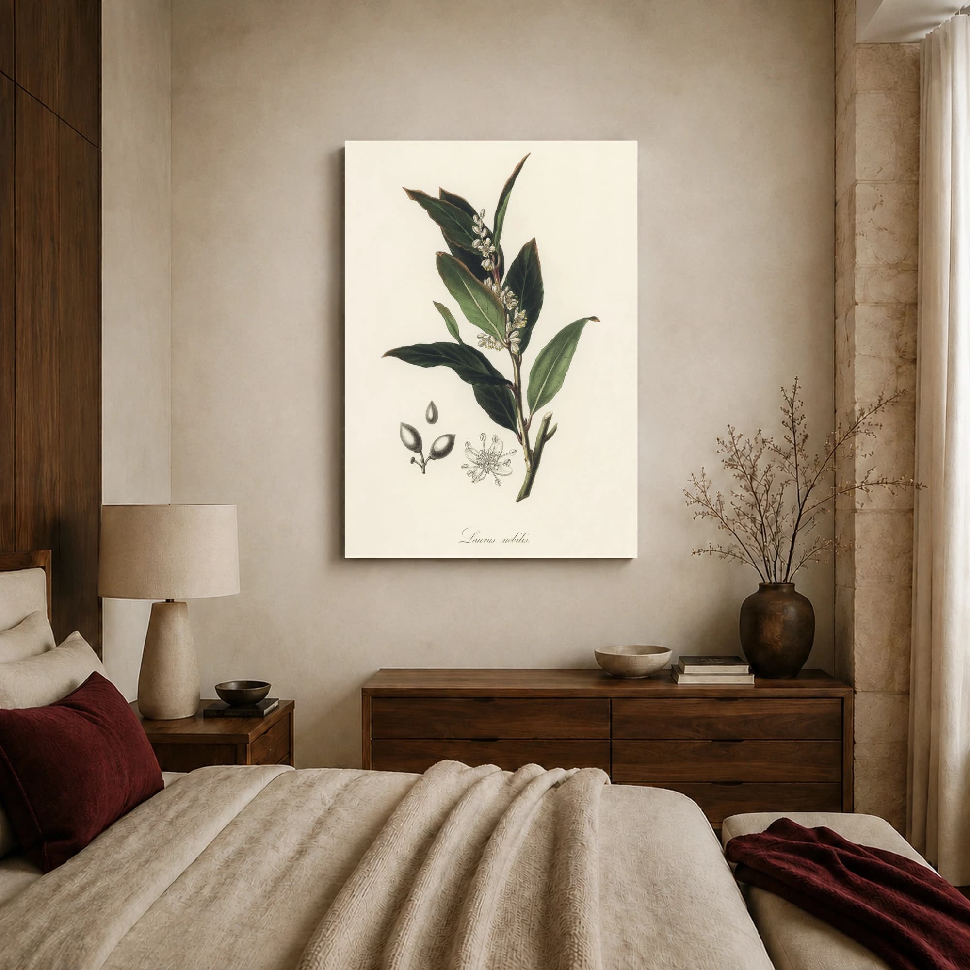 Laurus nobilis Vintage Botanical Illustration Print, view 7