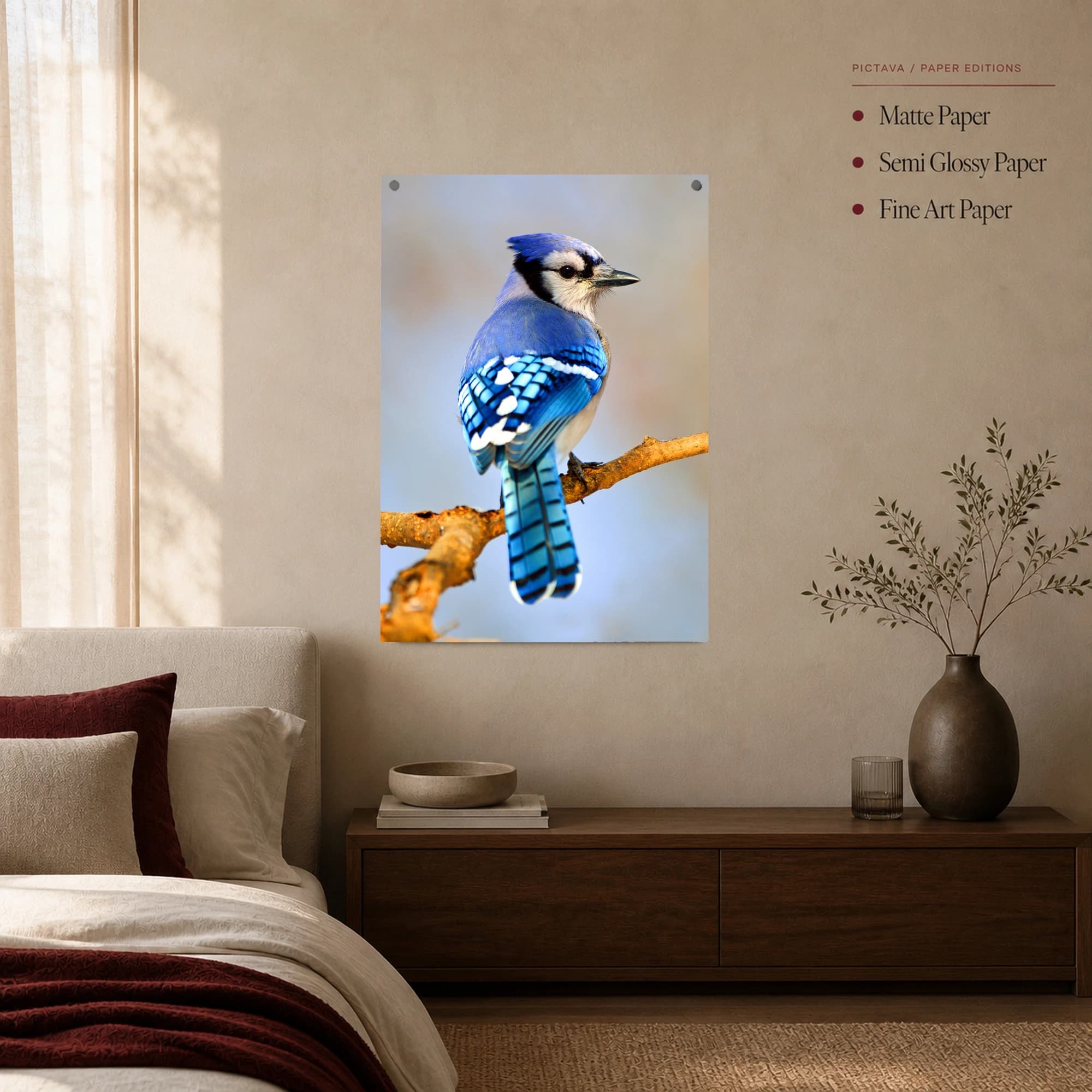 Vibrant Blue Jay Bird Wildlife Photography Wall Art, view 5