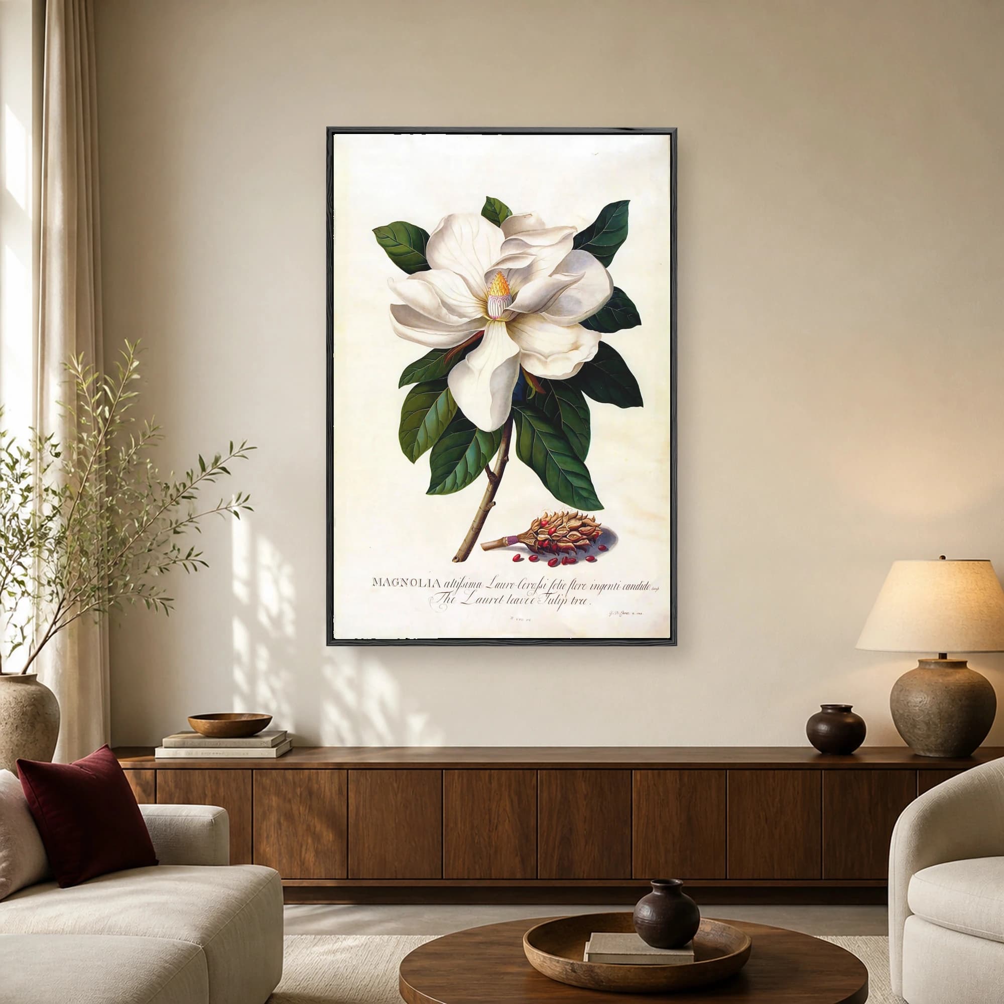 Vintage botanical art print featuring a large white magnolia flower with dark green leaves and a seed pod with red seeds against a cream background.