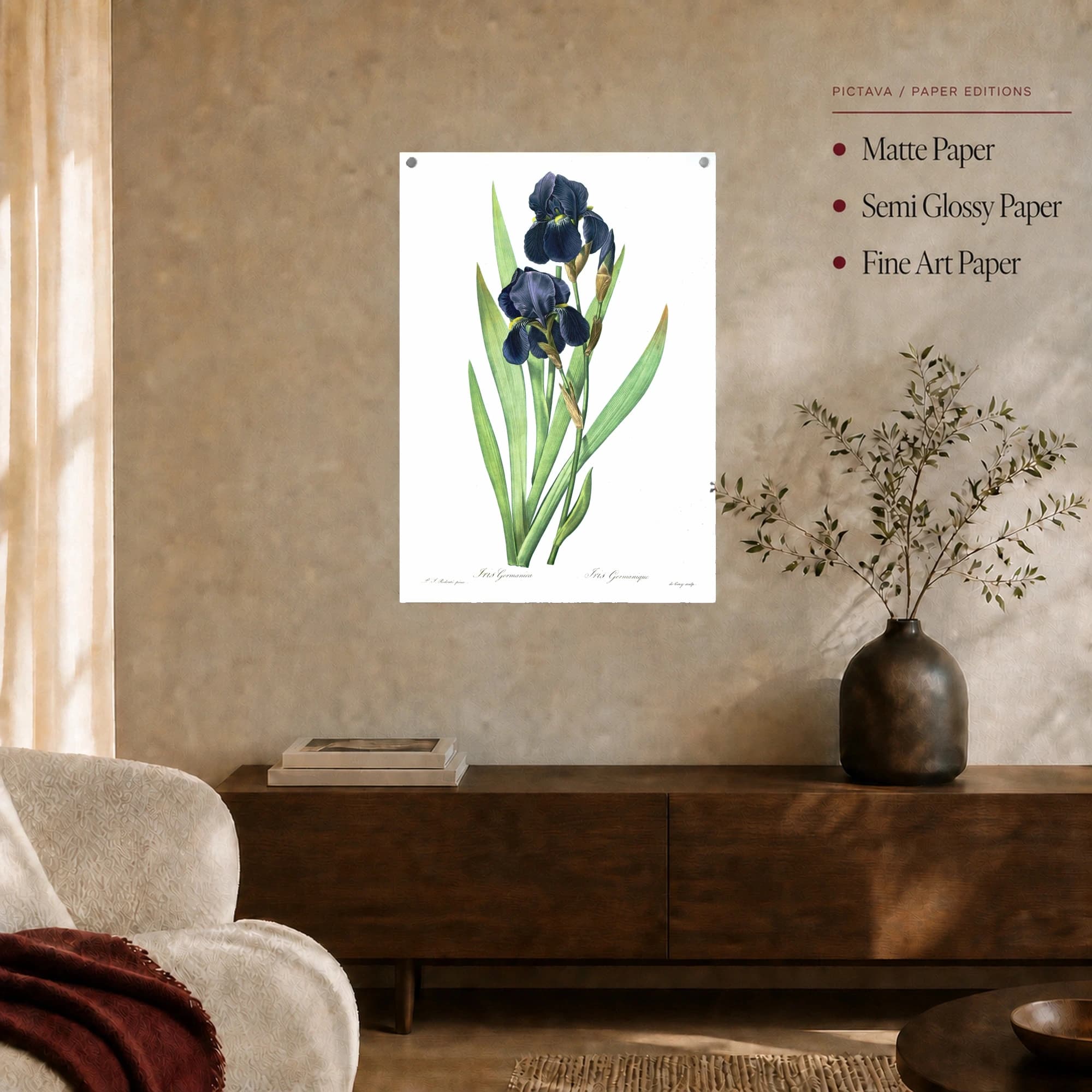 Vintage Iris Germanica Botanical Print Wall Art, view 6