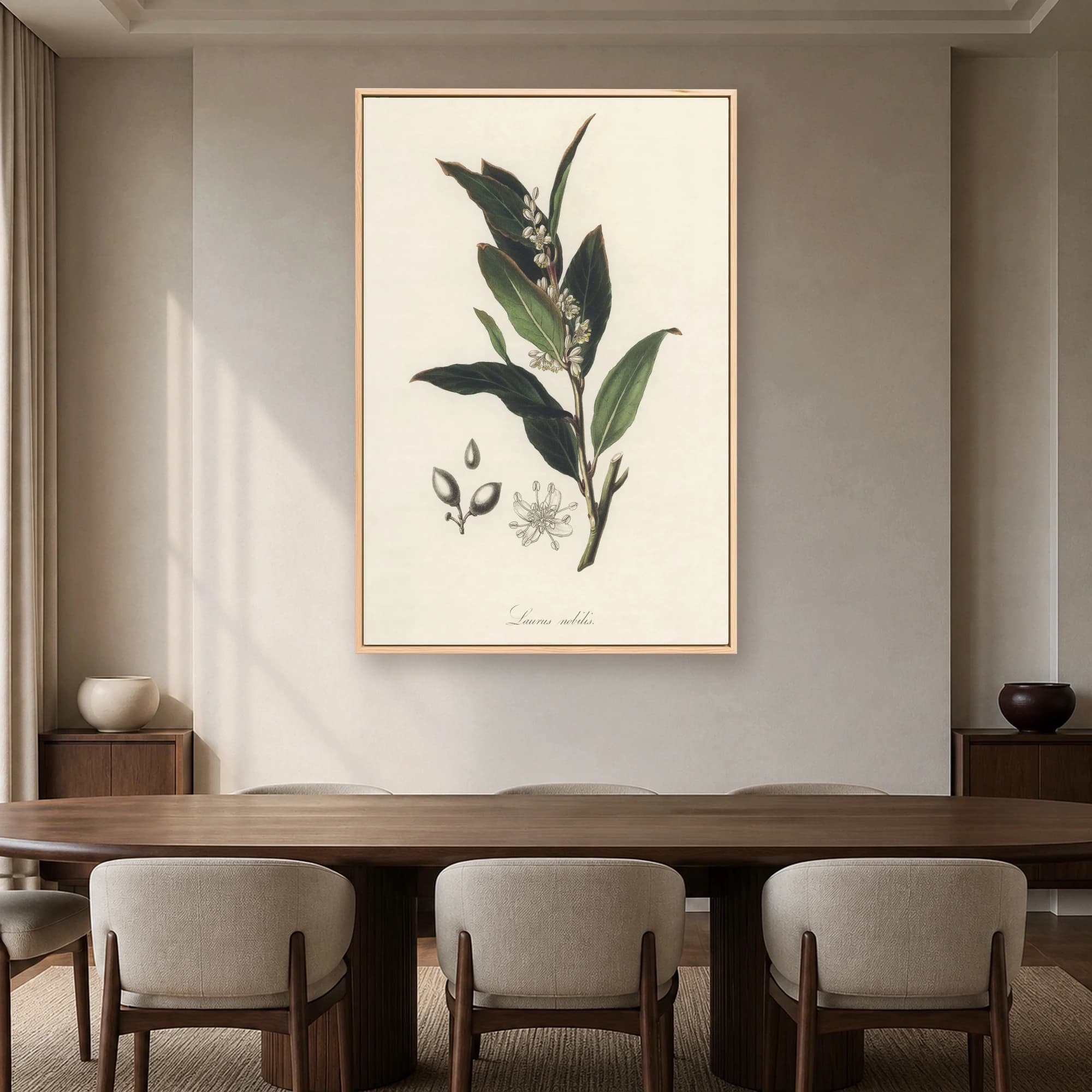 Laurus nobilis Vintage Botanical Illustration Print, view 3