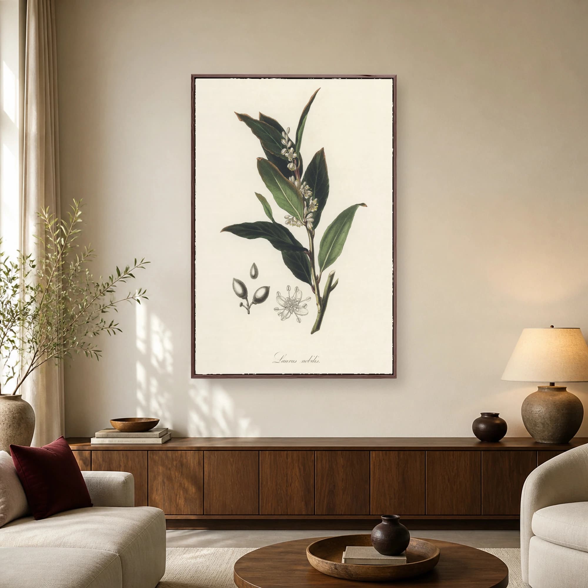 Vintage botanical art print featuring a bay laurel branch with green leaves, white flowers, seed pods, and the label Laurus nobilis.
