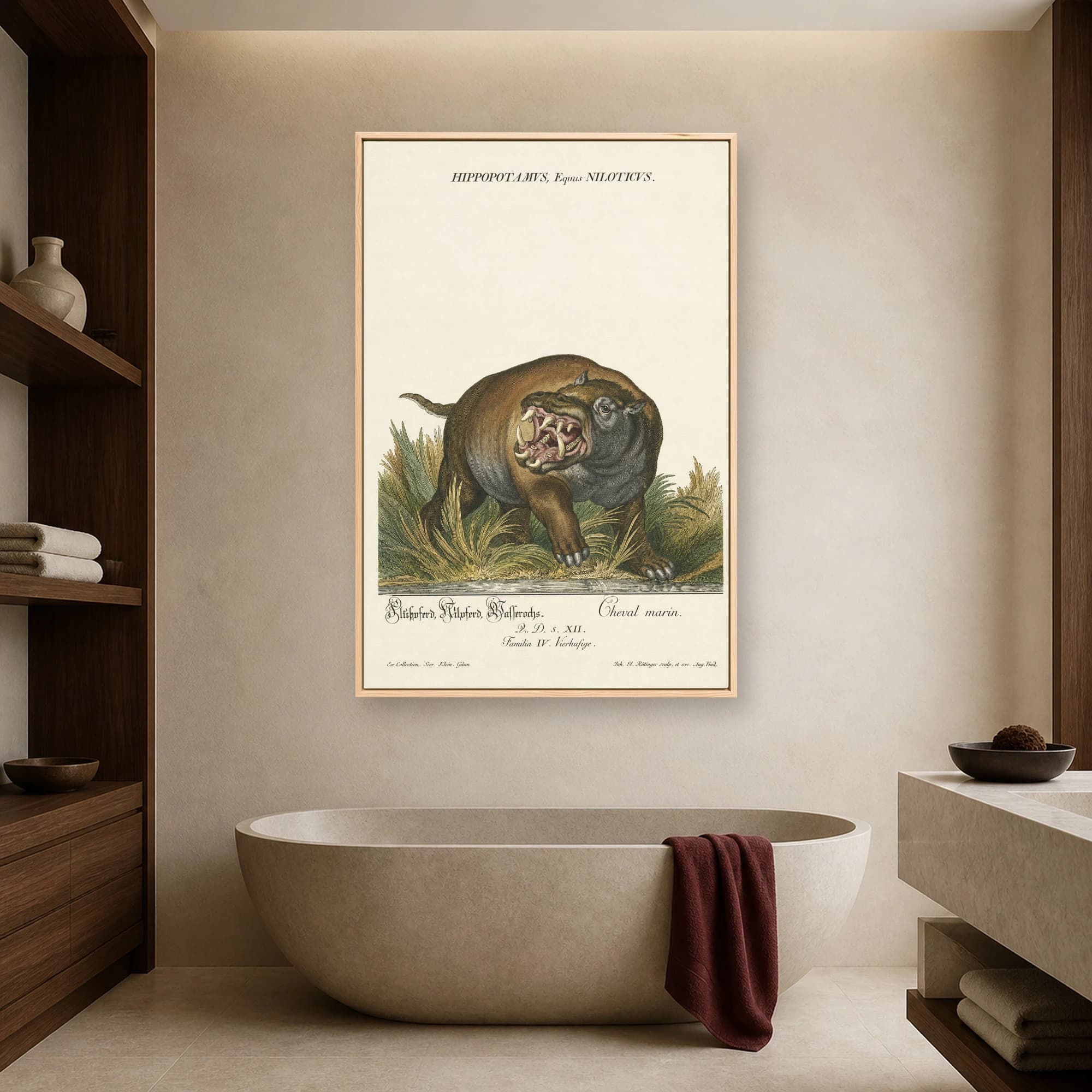 Hippopotamus Equus Niloticus Vintage Natural History Art Print, view 3