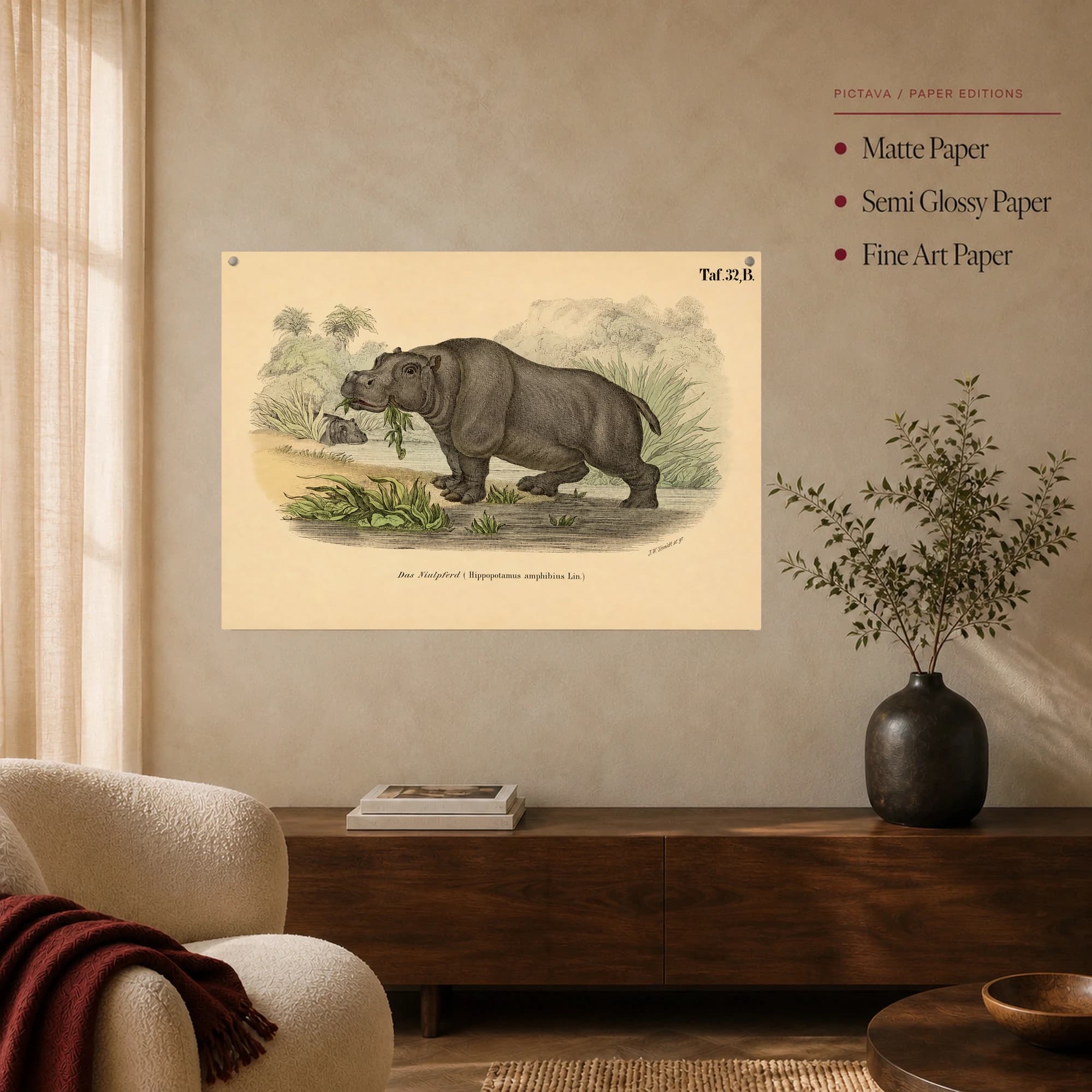 Das Niulpferd Vintage Scientific Hippopotamus Wall Art, view 6