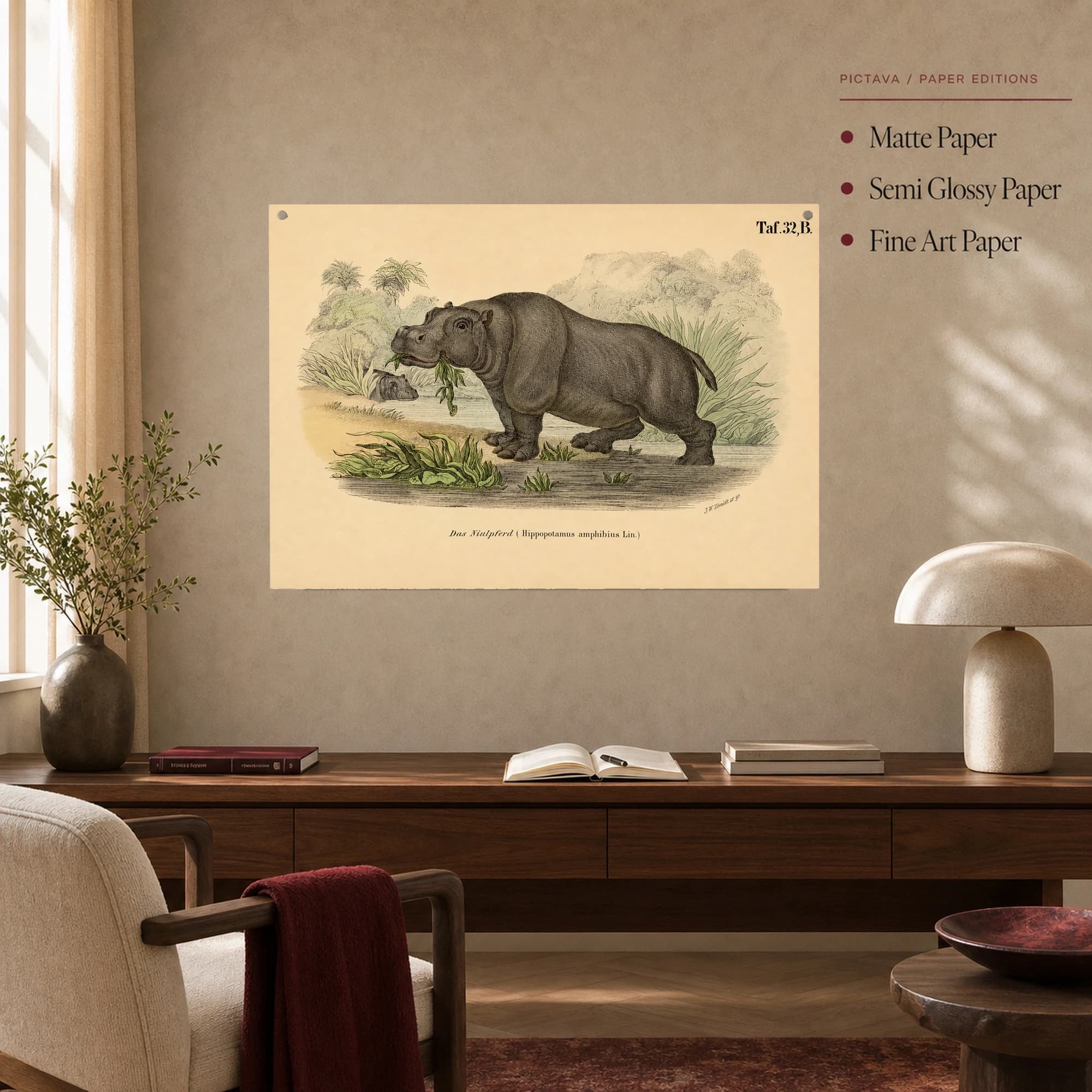 Das Niulpferd Vintage Scientific Hippopotamus Wall Art, view 7