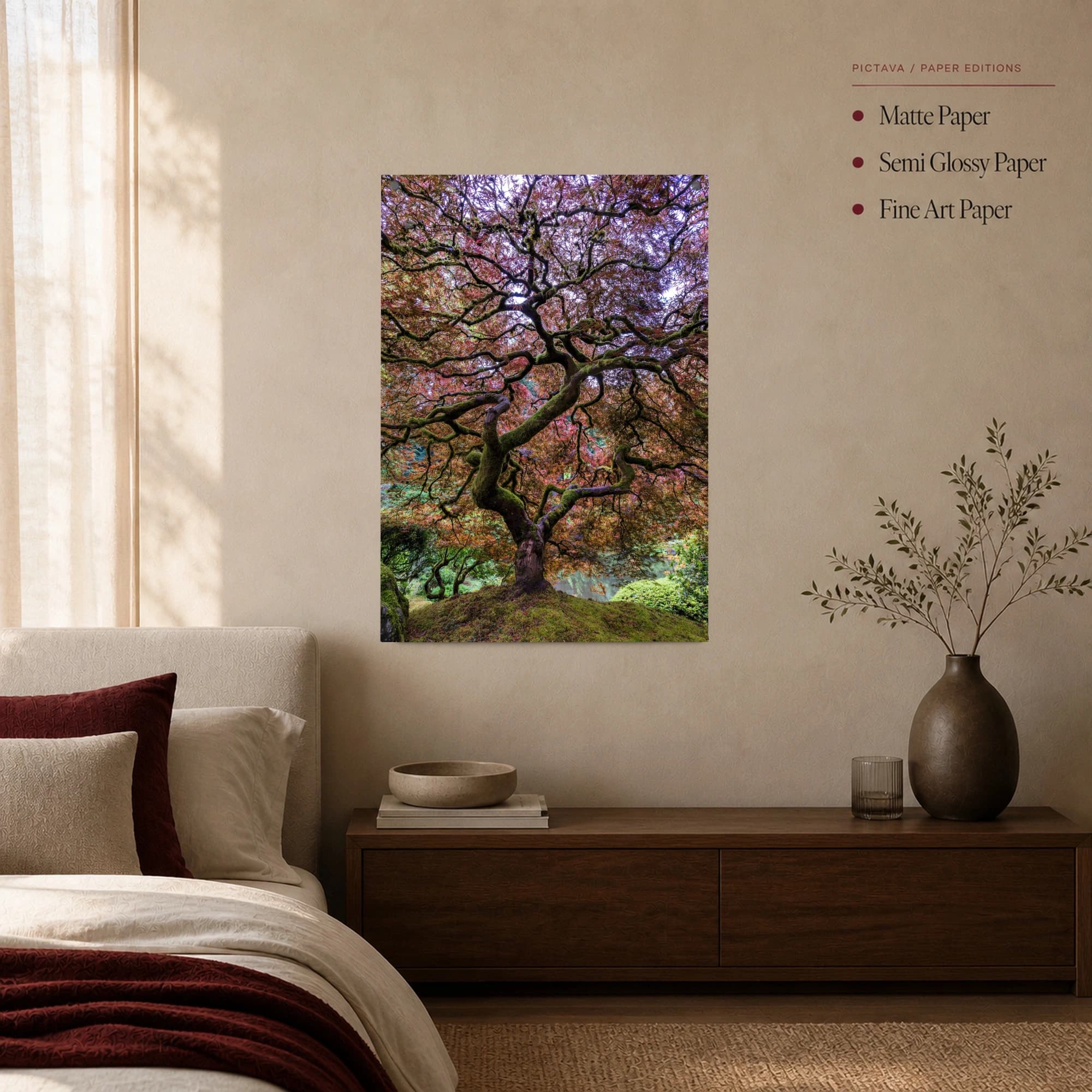 Japanese Maple Canopy Fine Art Photography Print, view 4