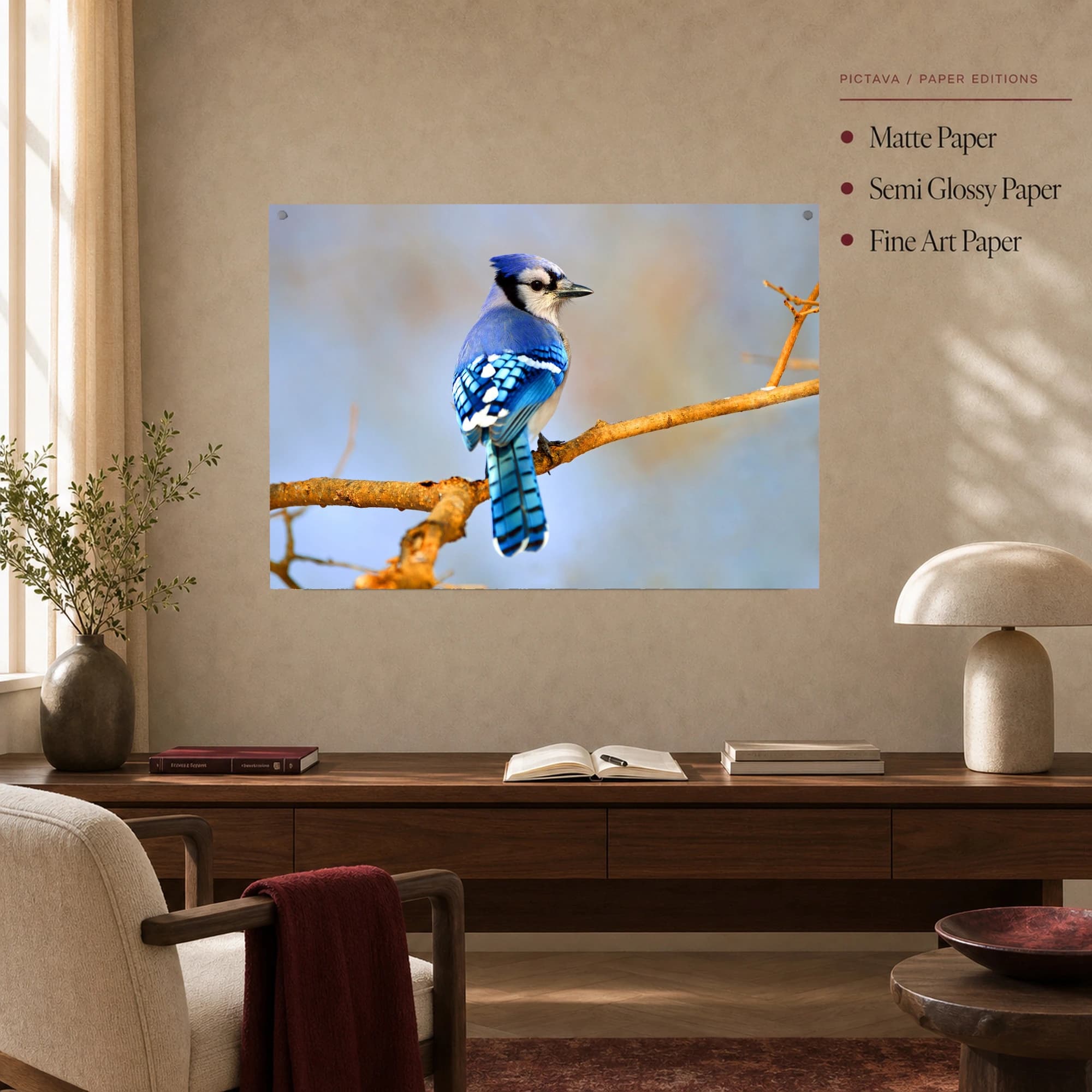 Blue Jay on Branch Wildlife Photography Print, view 5